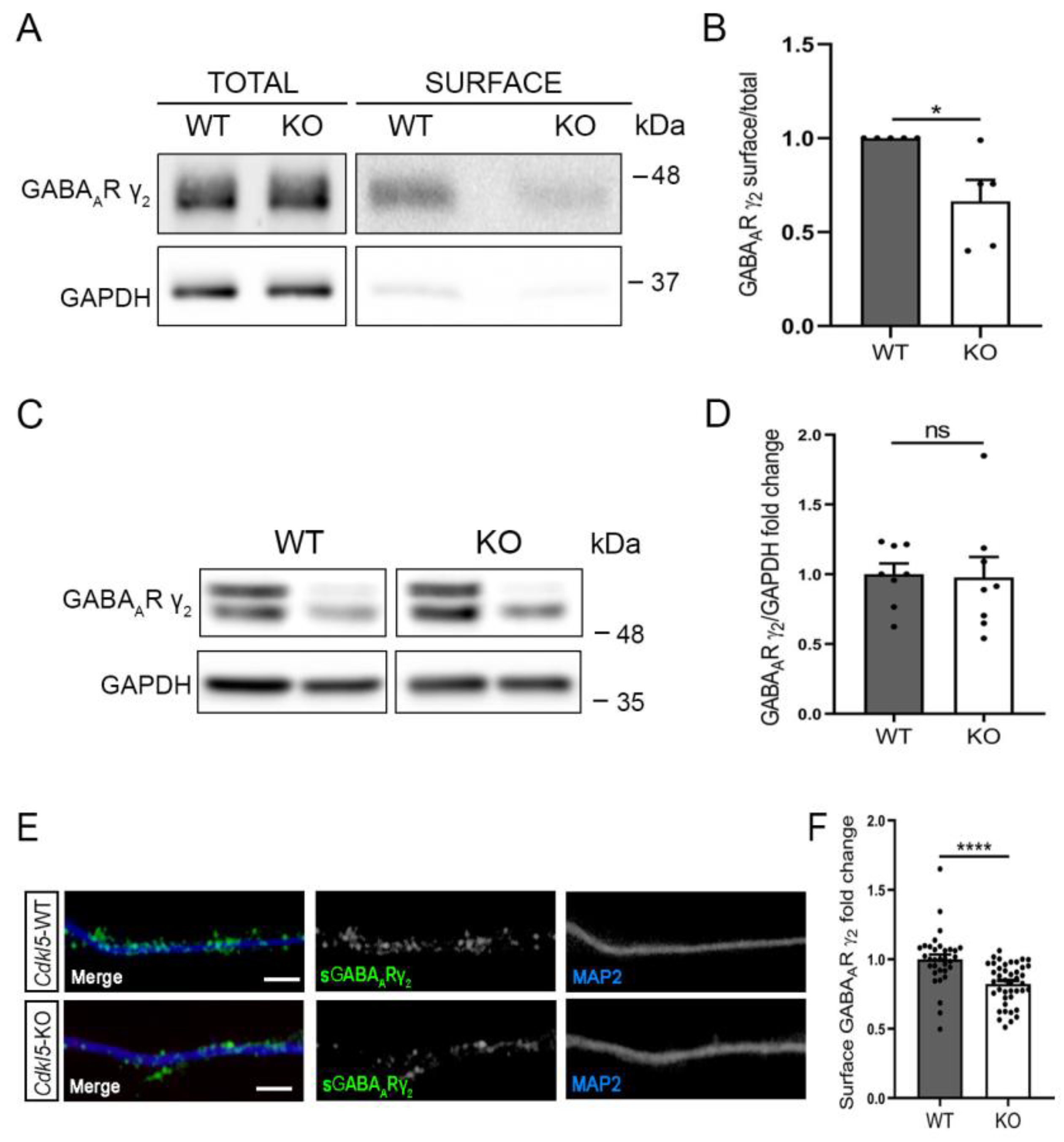 Ijms 24 00068 g002 Ijms 24 00068 g002
