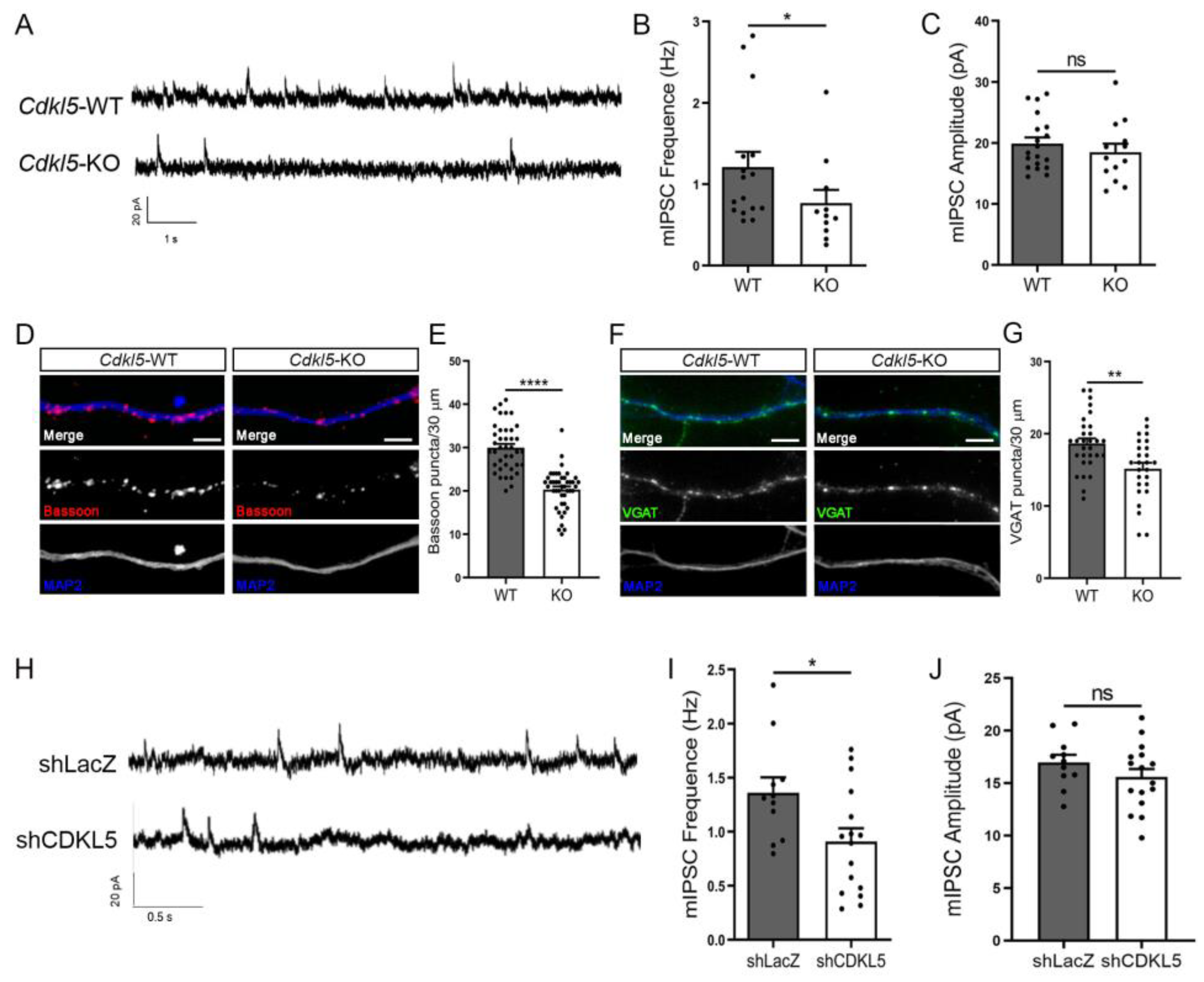 Ijms 24 00068 g003 Ijms 24 00068 g003