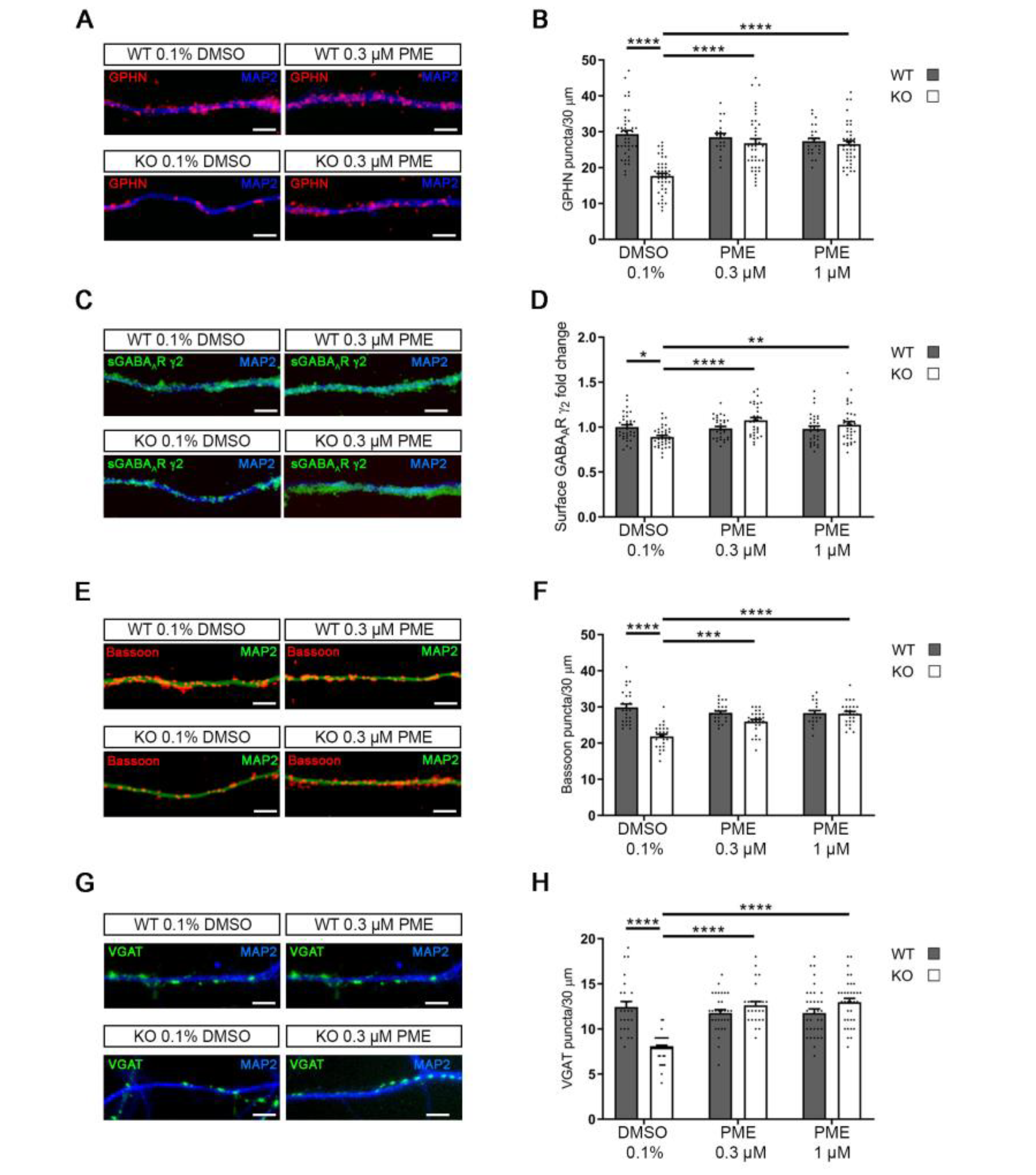 Ijms 24 00068 g004a Ijms 24 00068 g004a
