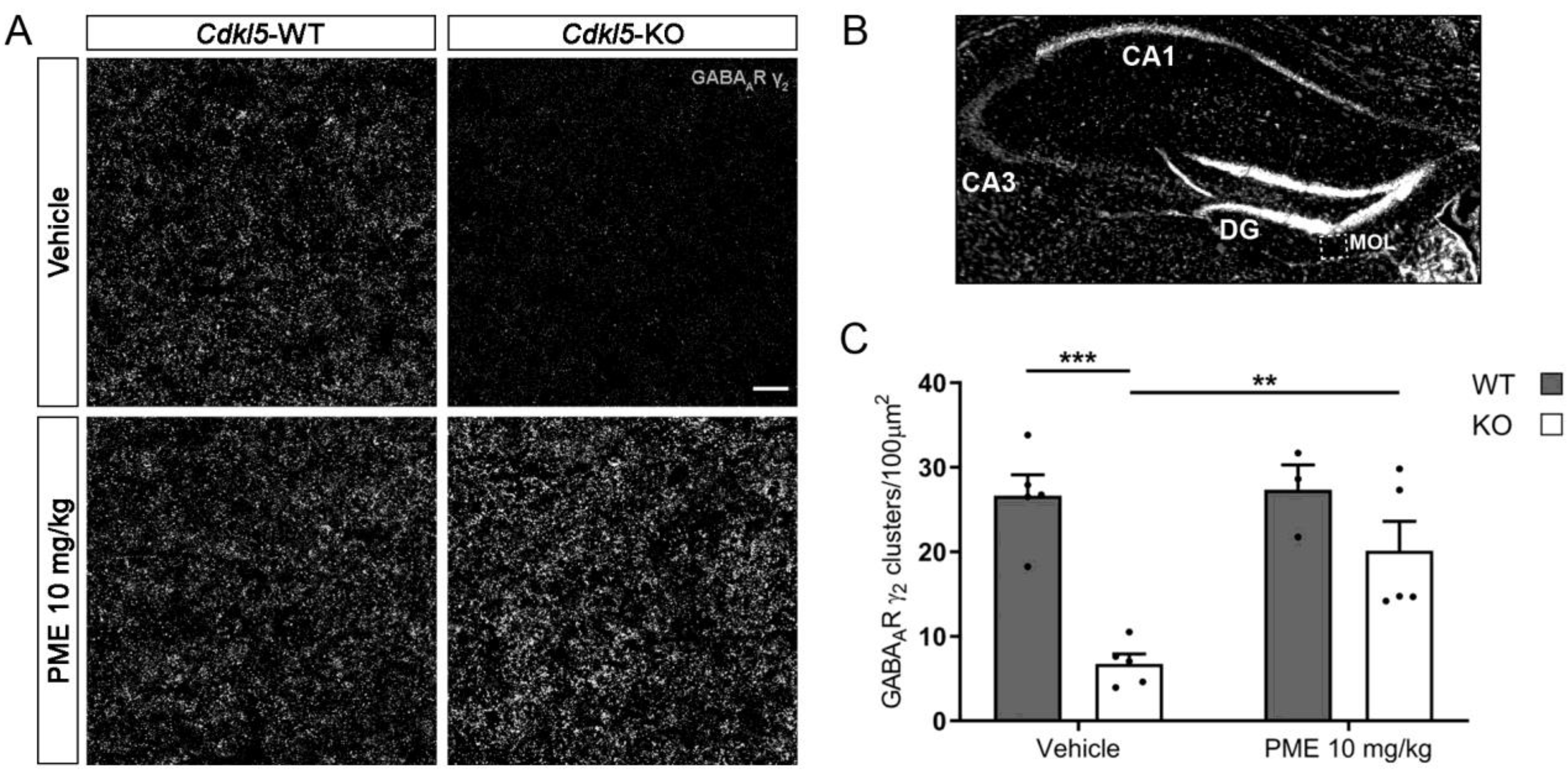 Ijms 24 00068 g005 Ijms 24 00068 g005