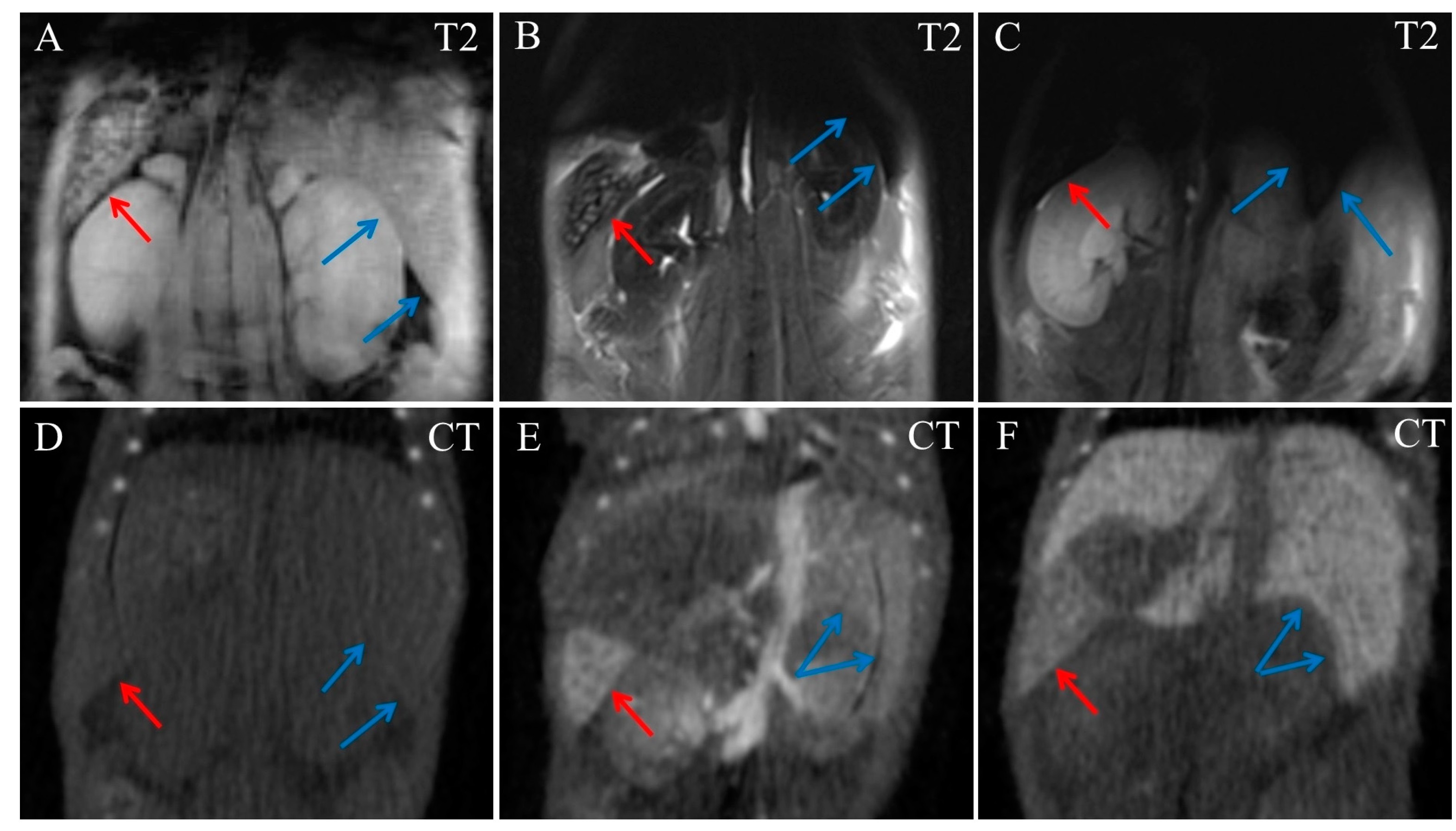 Ijms 24 00070 g003 Ijms 24 00070 g003
