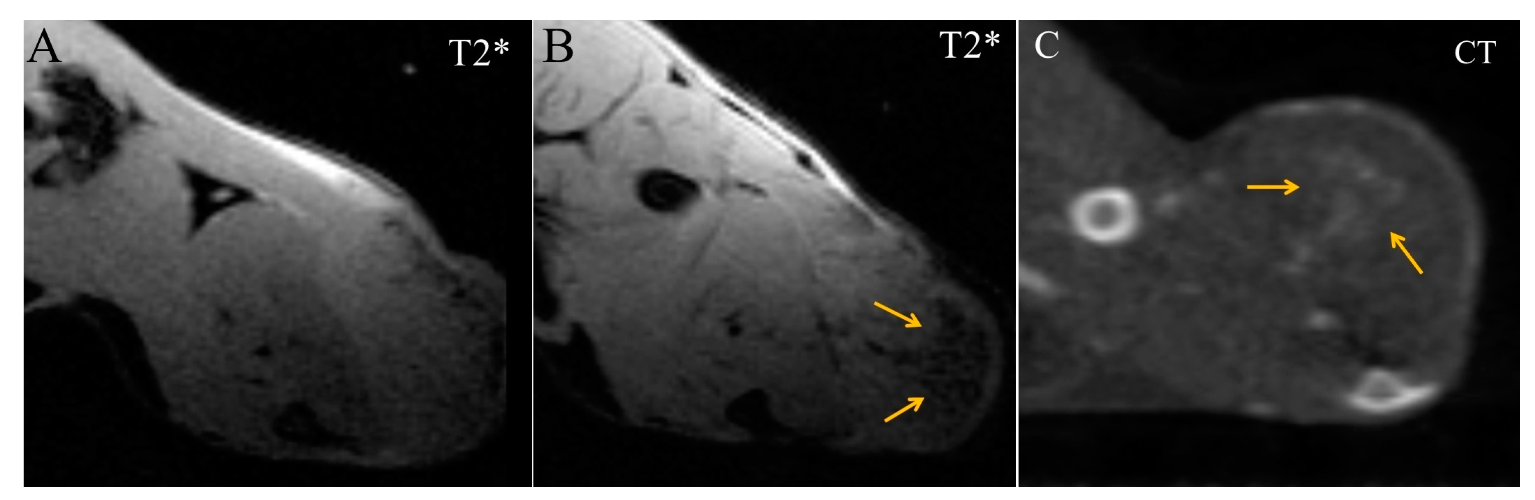 Ijms 24 00070 g005 Ijms 24 00070 g005