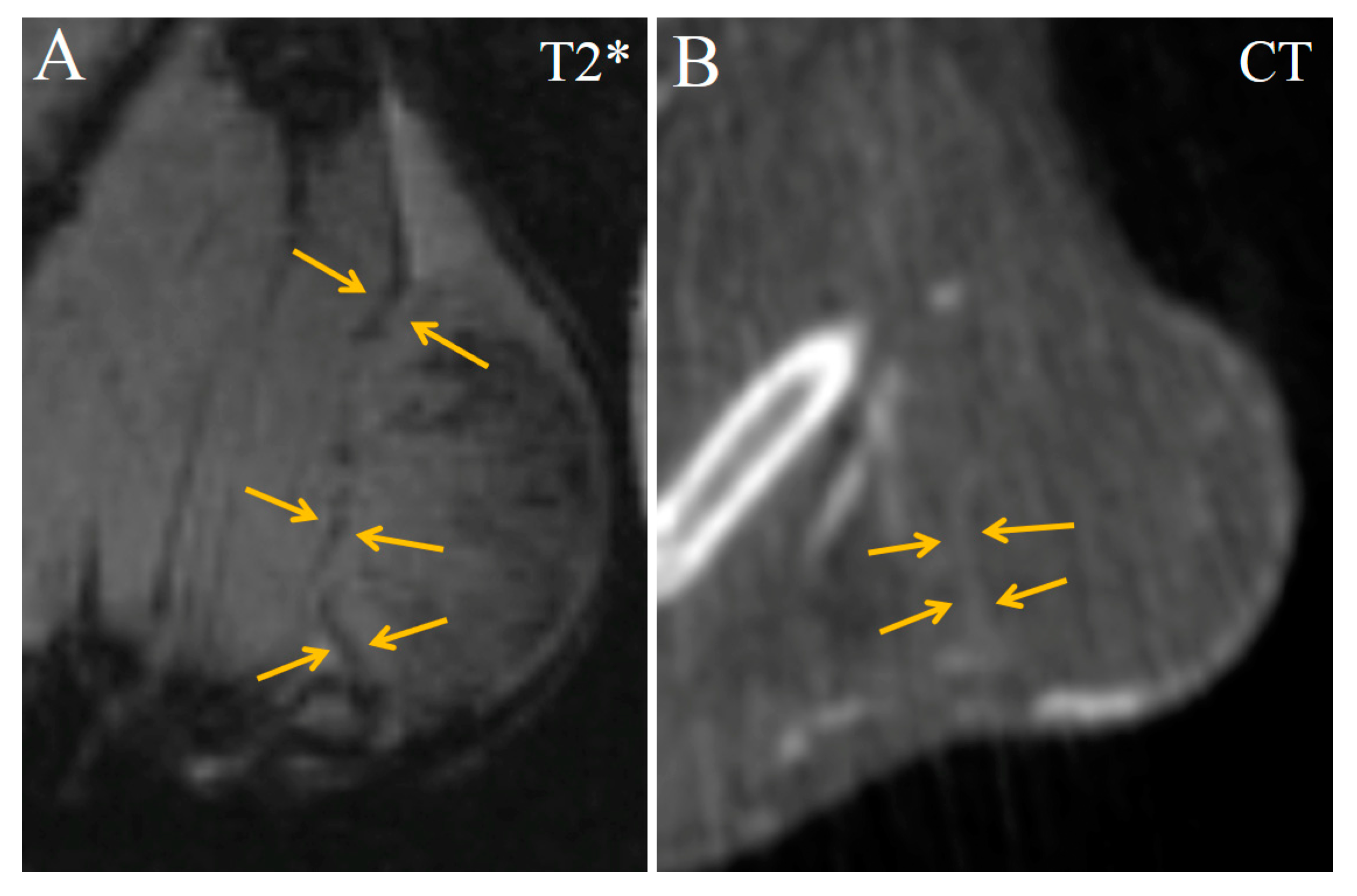 Ijms 24 00070 g007 Ijms 24 00070 g007