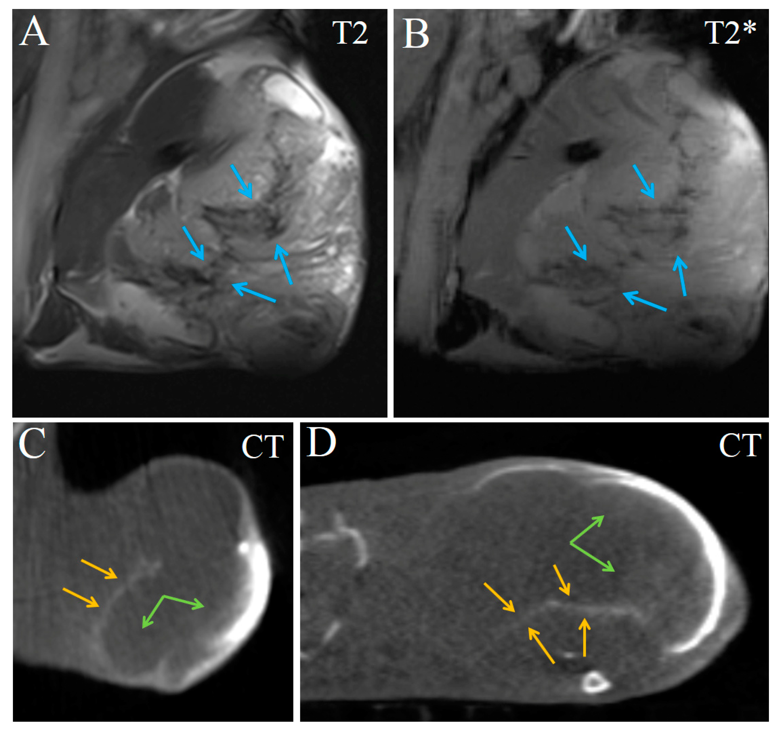 Ijms 24 00070 g009 Ijms 24 00070 g009