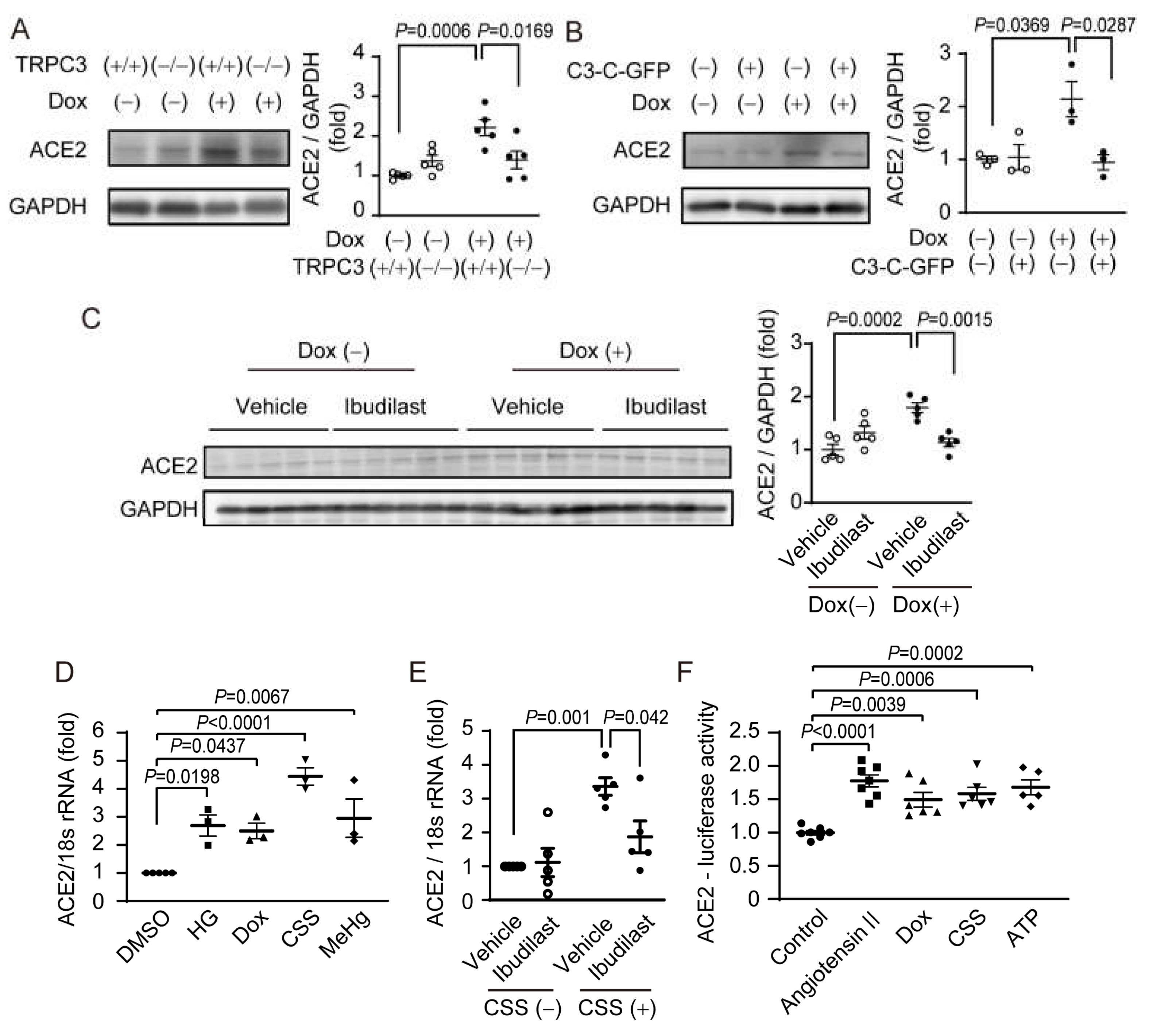 Ijms 24 00102 g002 Ijms 24 00102 g002
