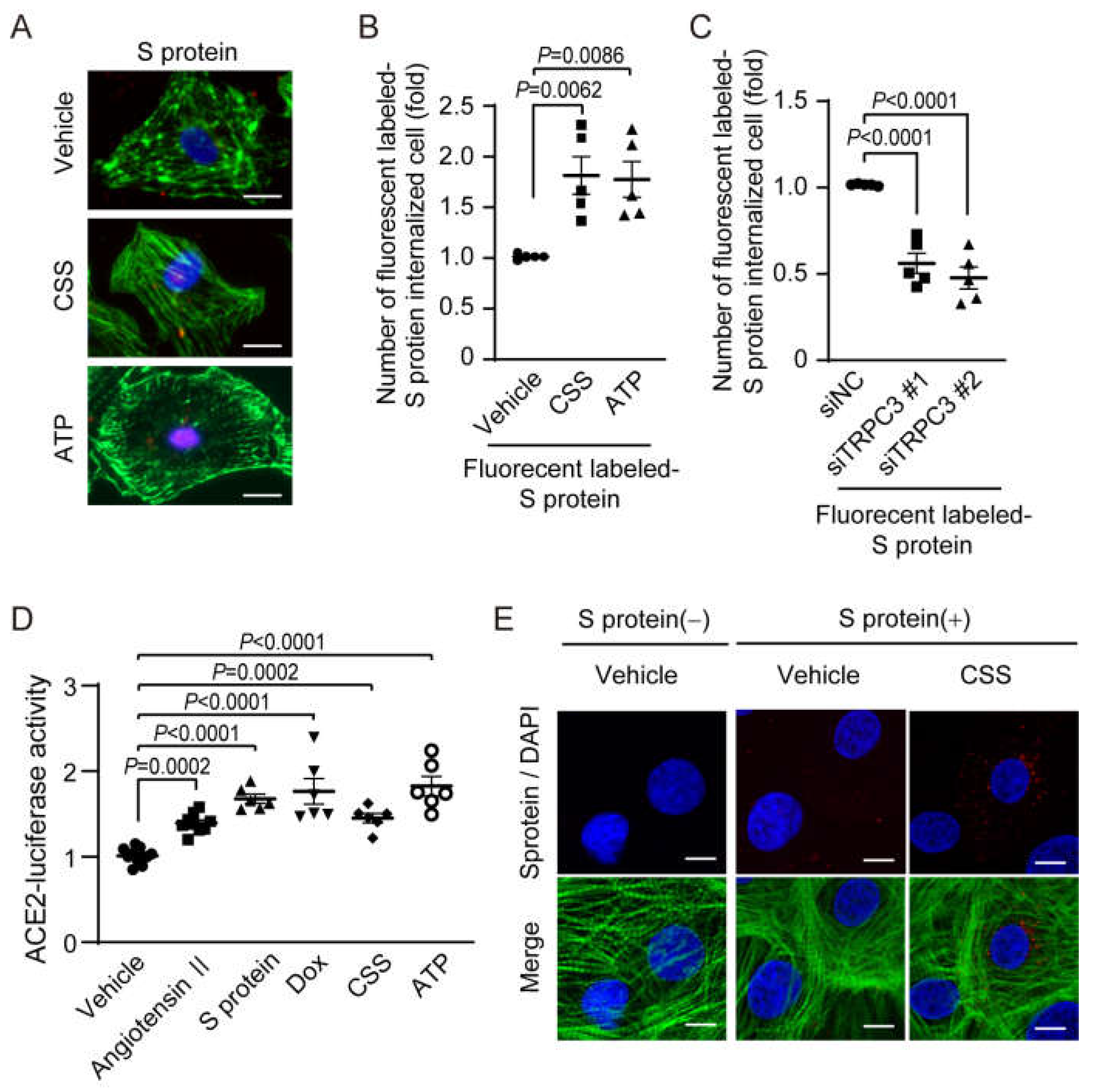 Ijms 24 00102 g003 Ijms 24 00102 g003