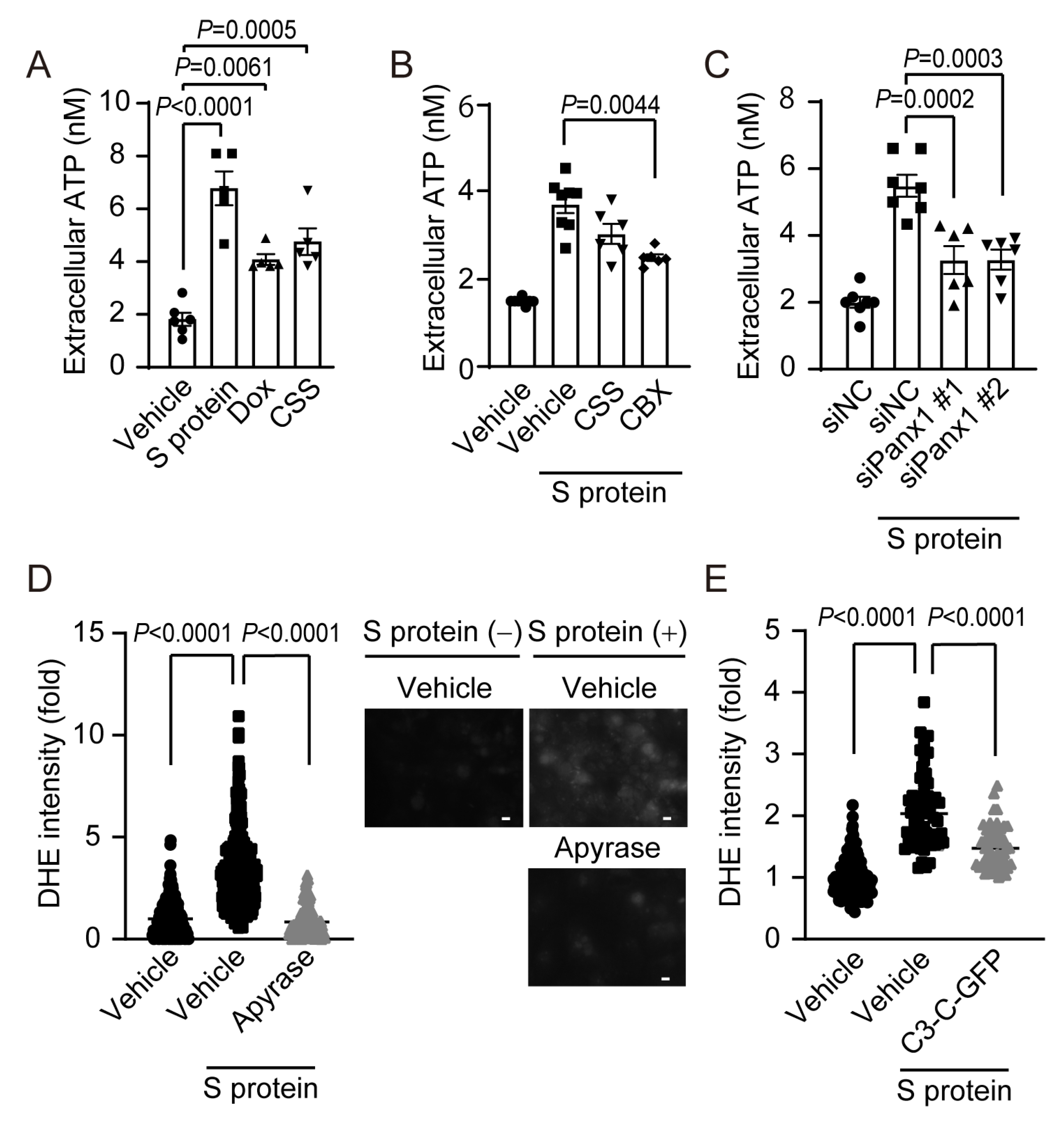 Ijms 24 00102 g004 Ijms 24 00102 g004