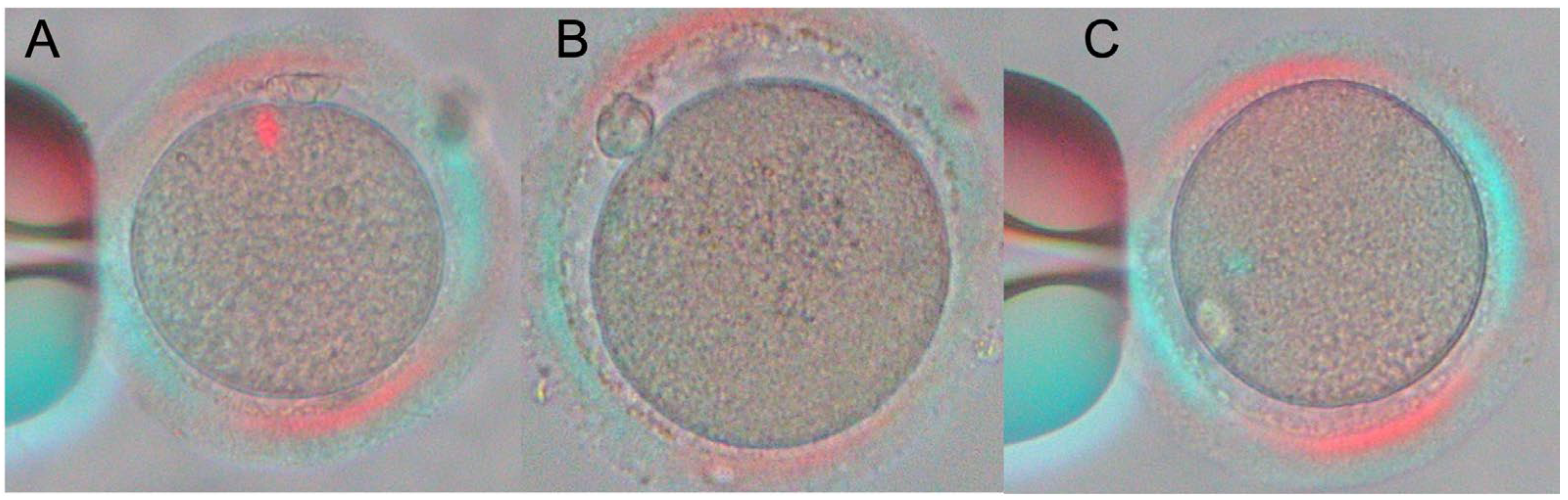 Ijms 24 00105 g003 Ijms 24 00105 g003