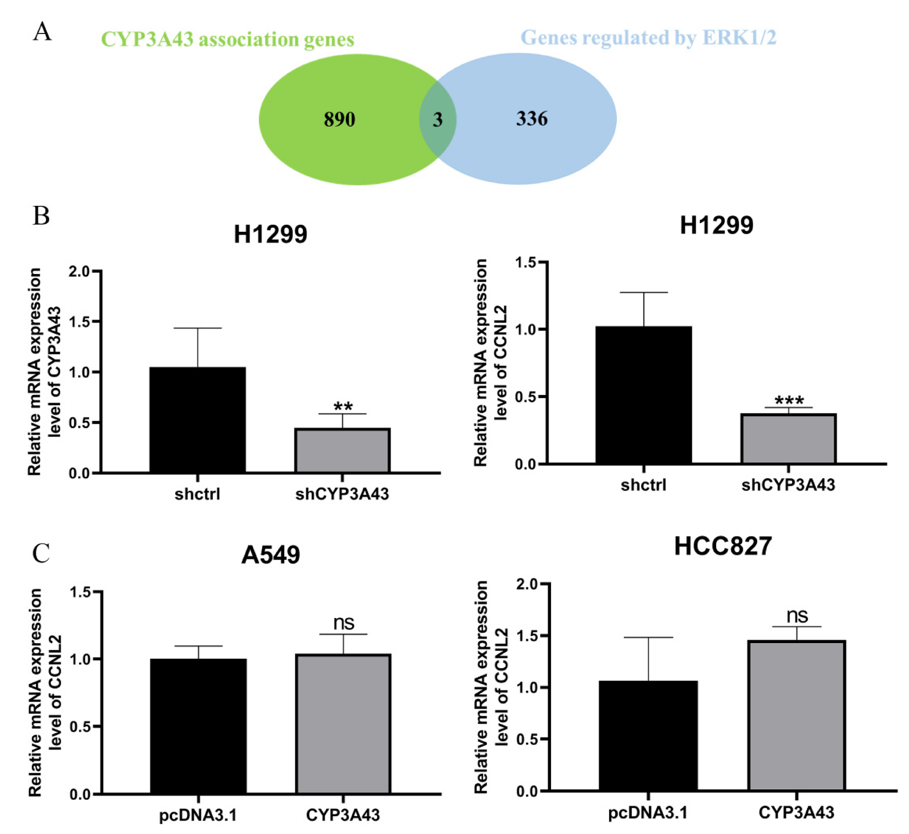 Ijms 24 00113 g008 Ijms 24 00113 g008