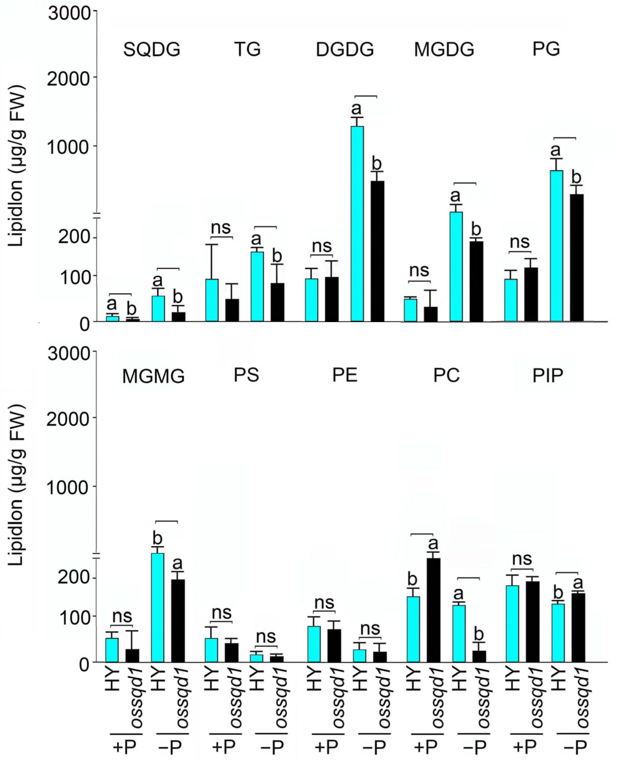 Ijms 24 00114 g002 Ijms 24 00114 g002
