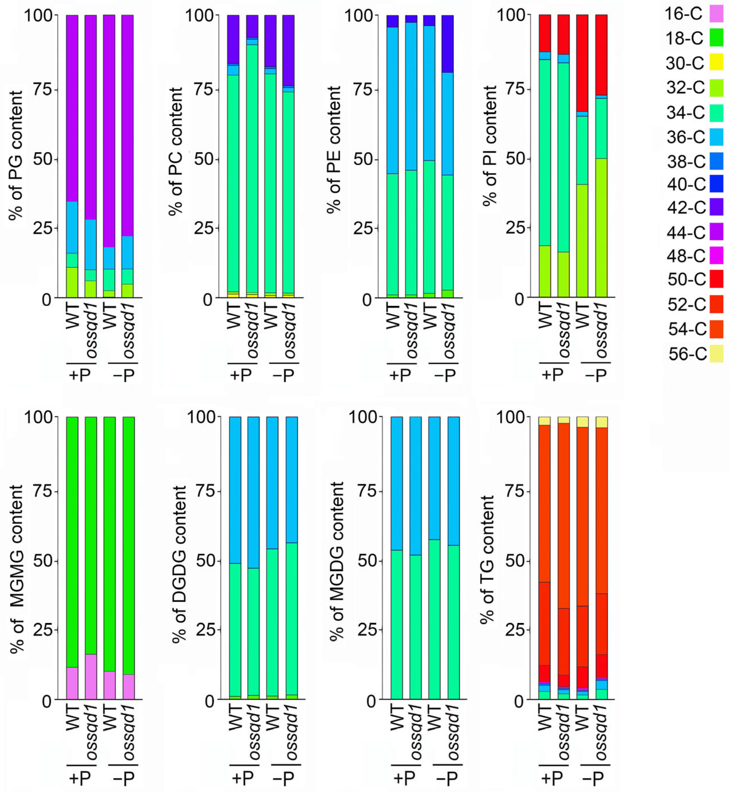 Ijms 24 00114 g003 Ijms 24 00114 g003