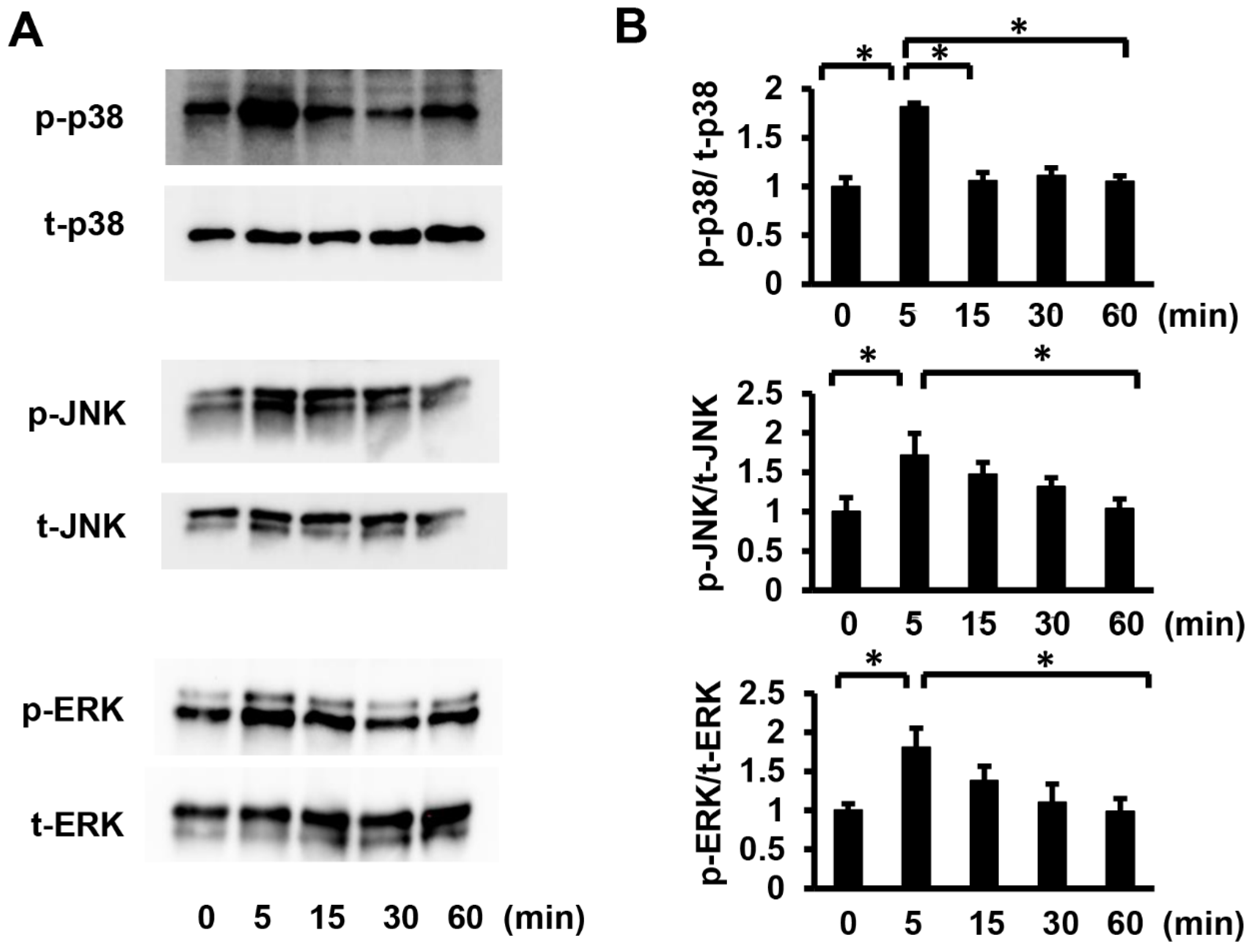 Ijms 24 00125 g005 Ijms 24 00125 g005