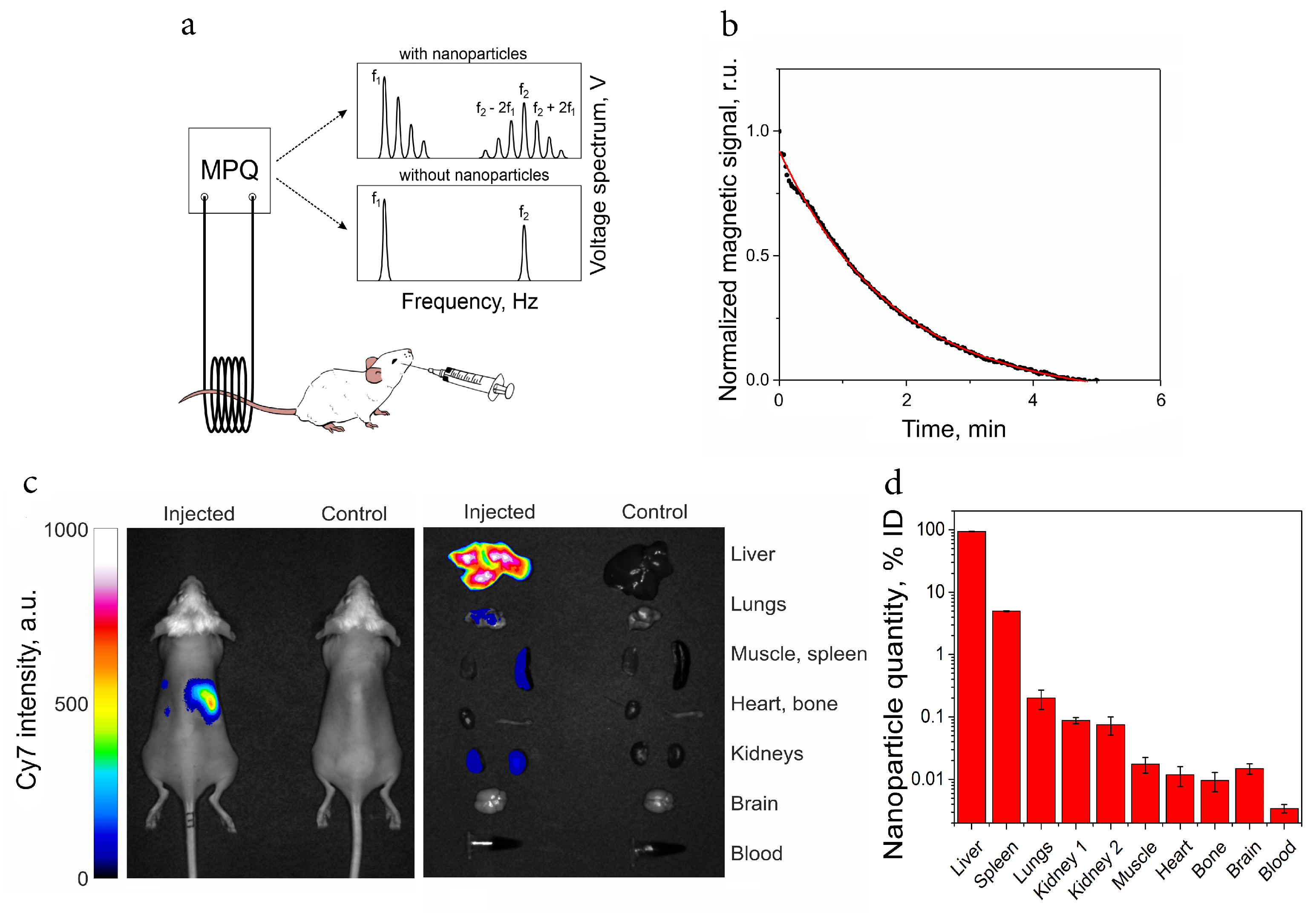 Ijms 24 00134 g006 Ijms 24 00134 g006