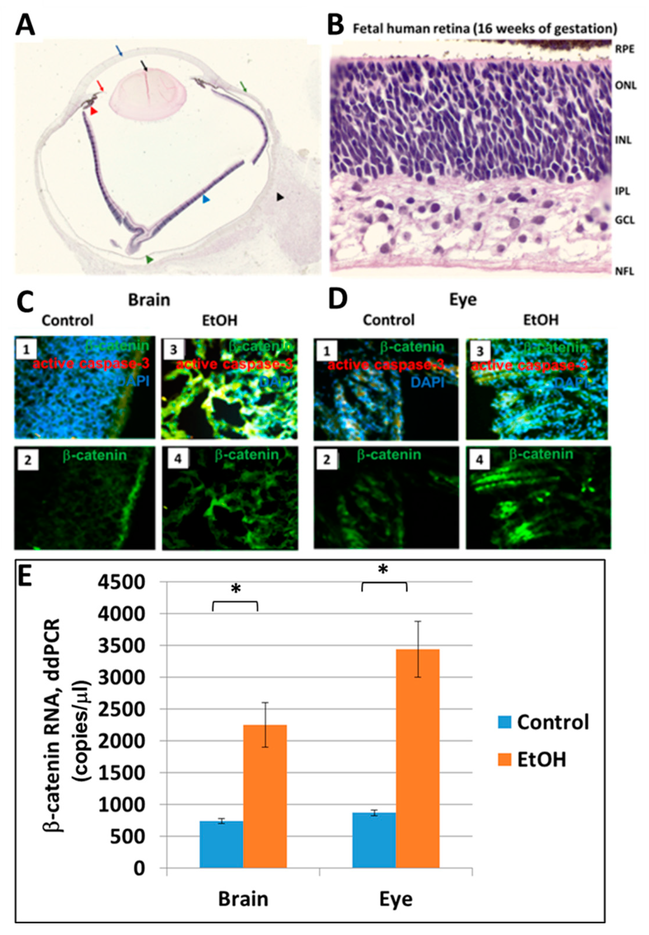 Ijms 24 00135 g005 Ijms 24 00135 g005