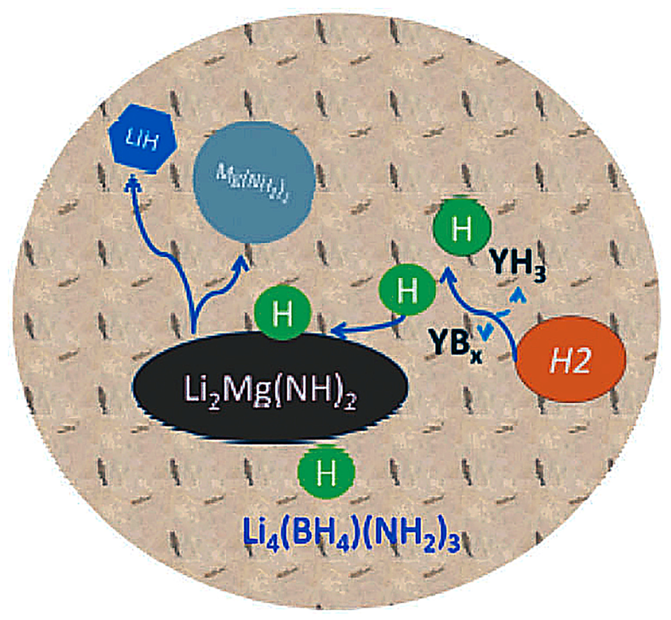 Ijms 24 00143 g015 Ijms 24 00143 g015