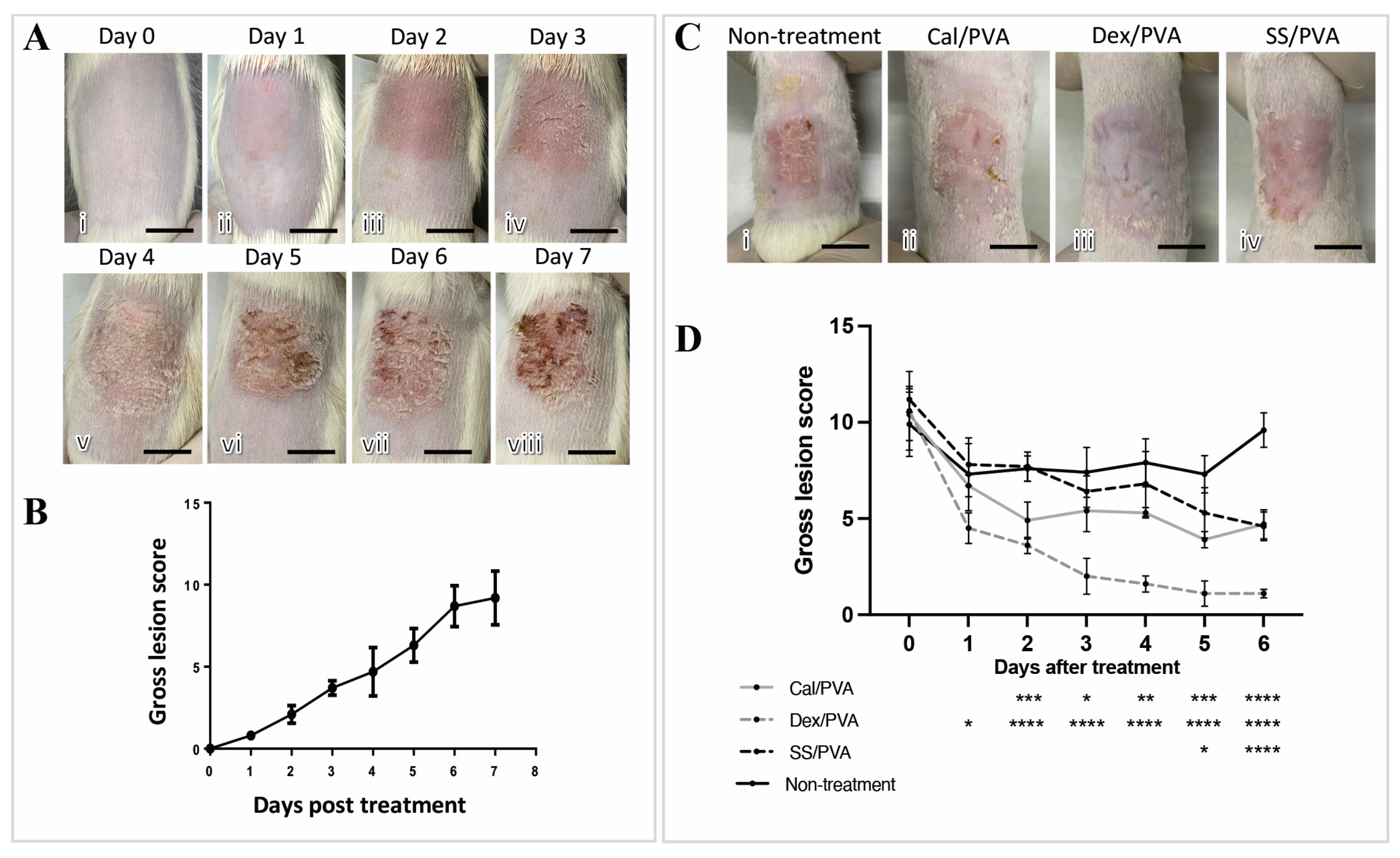 Ijms 24 00145 g002 Ijms 24 00145 g002