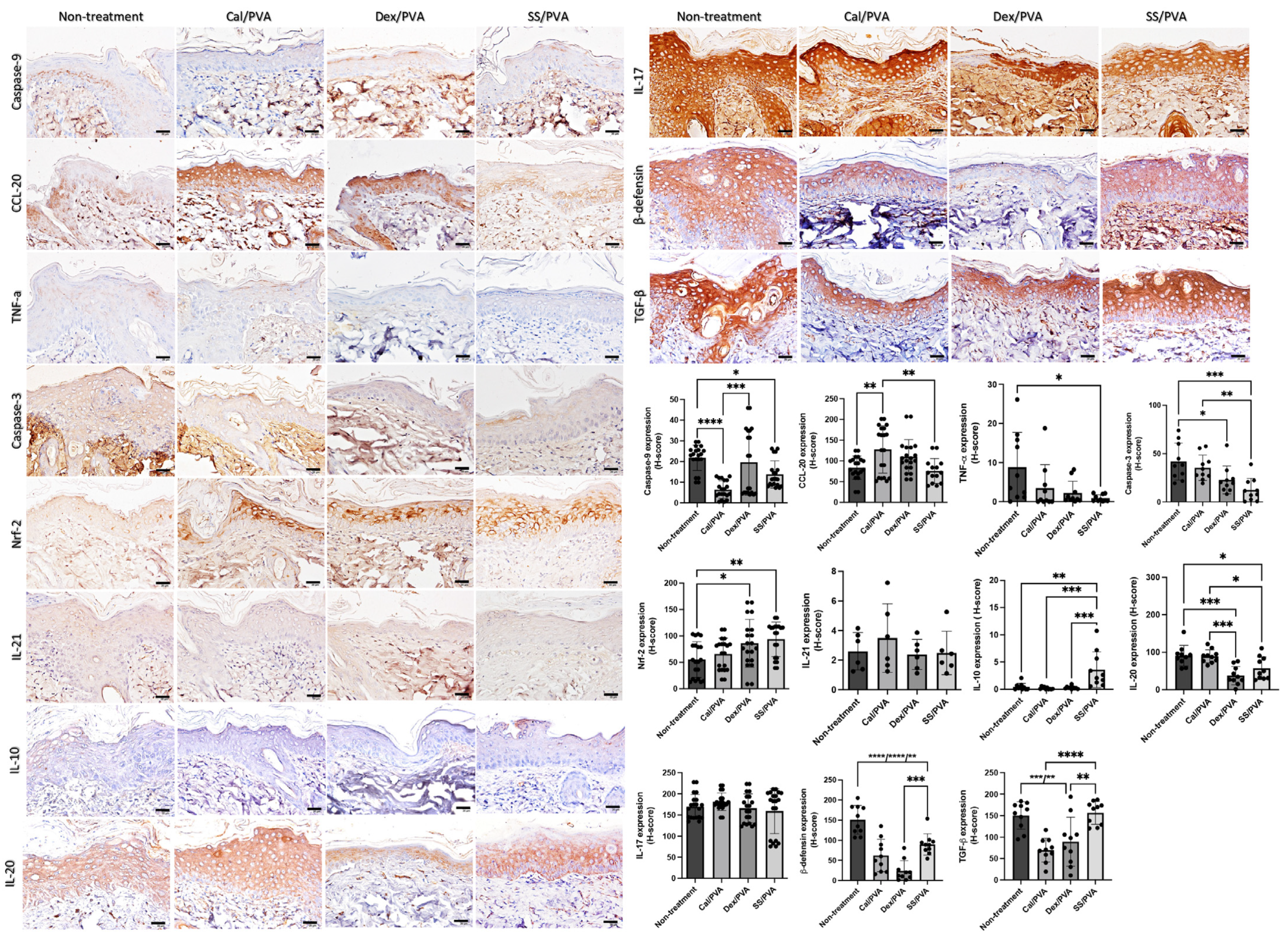 Ijms 24 00145 g004 Ijms 24 00145 g004