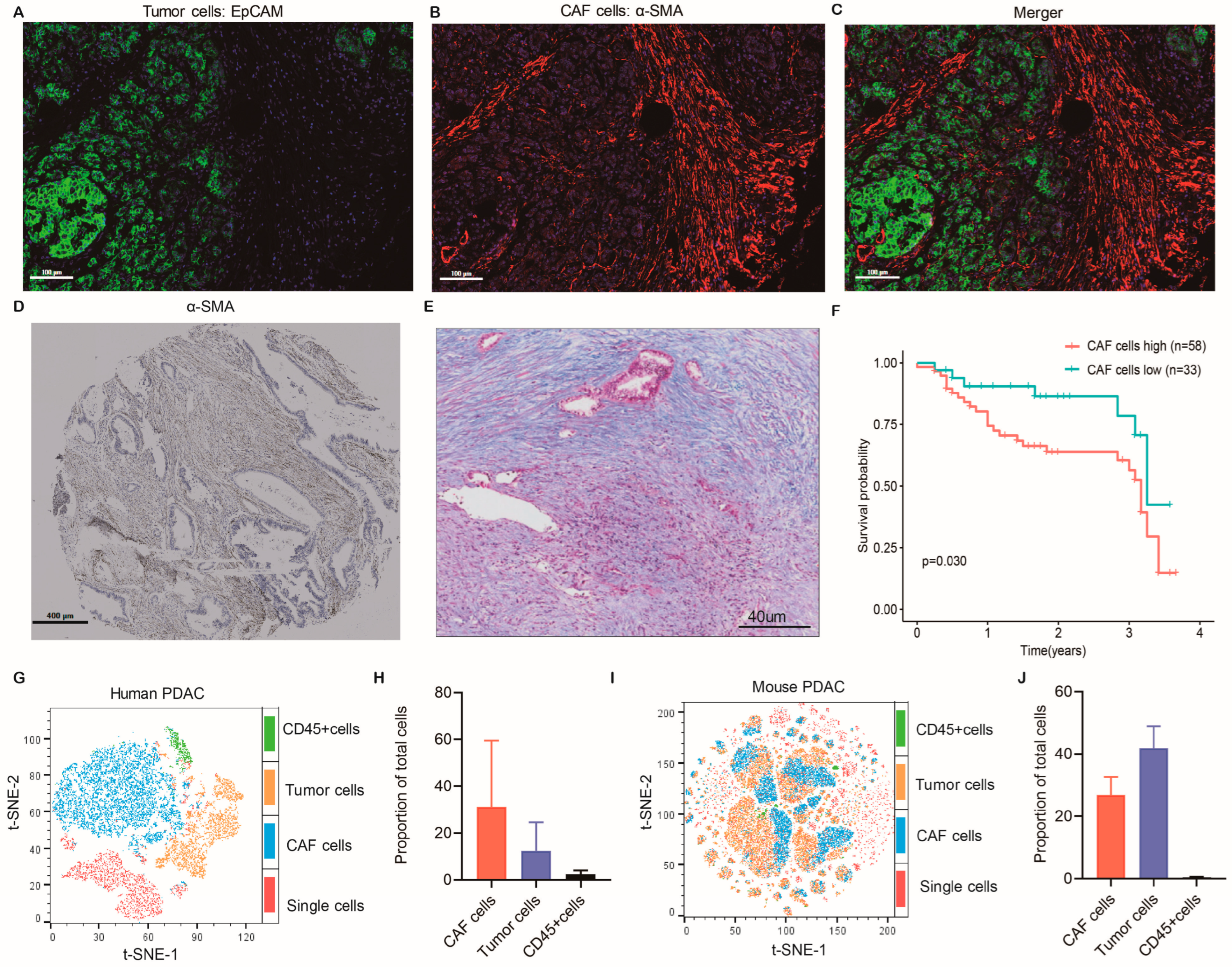 Ijms 24 00156 g001 Ijms 24 00156 g001