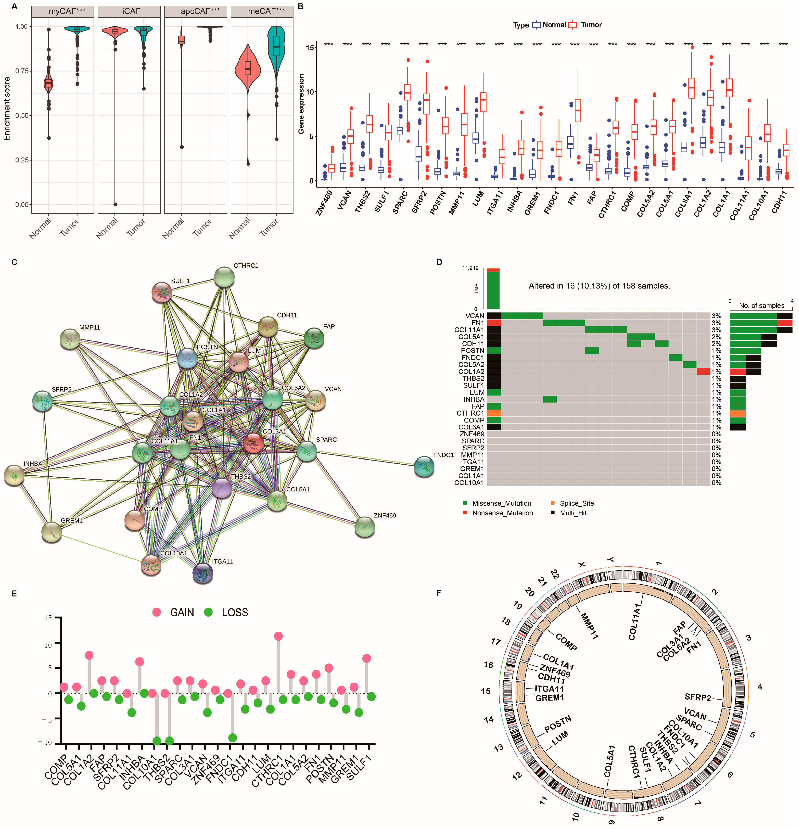 Ijms 24 00156 g002 Ijms 24 00156 g002