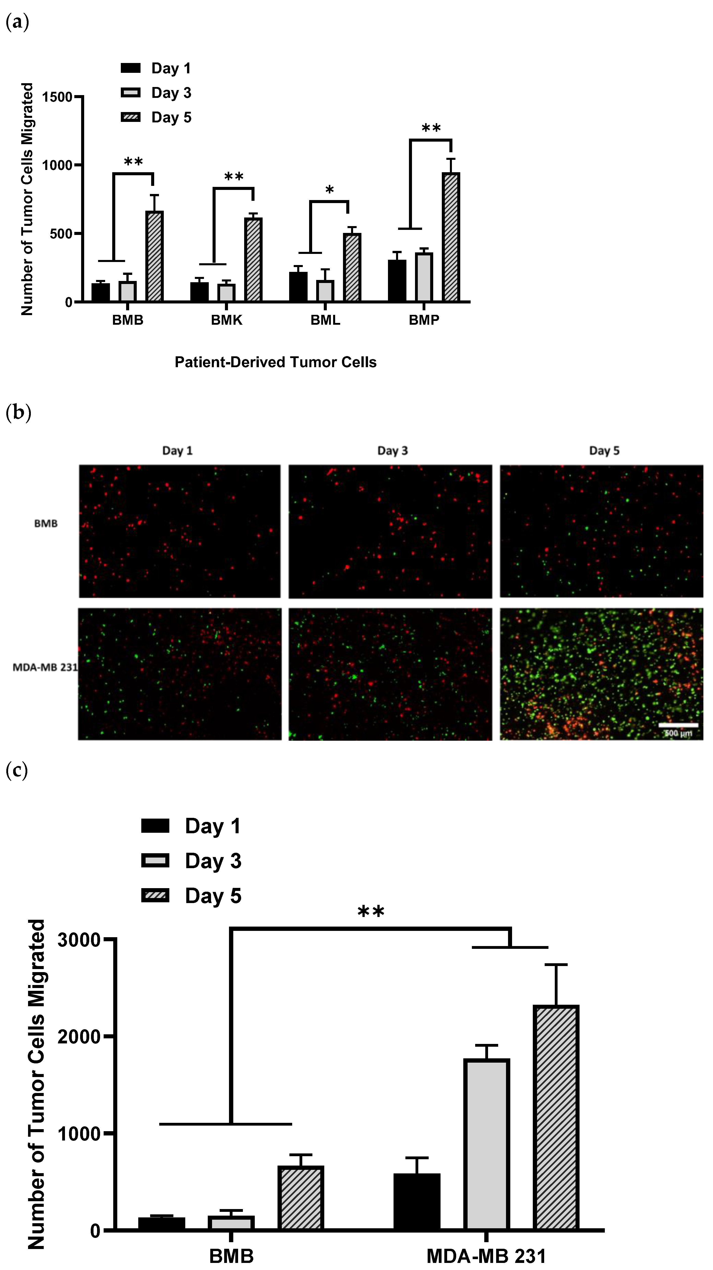 Ijms 24 00160 g001 Ijms 24 00160 g001