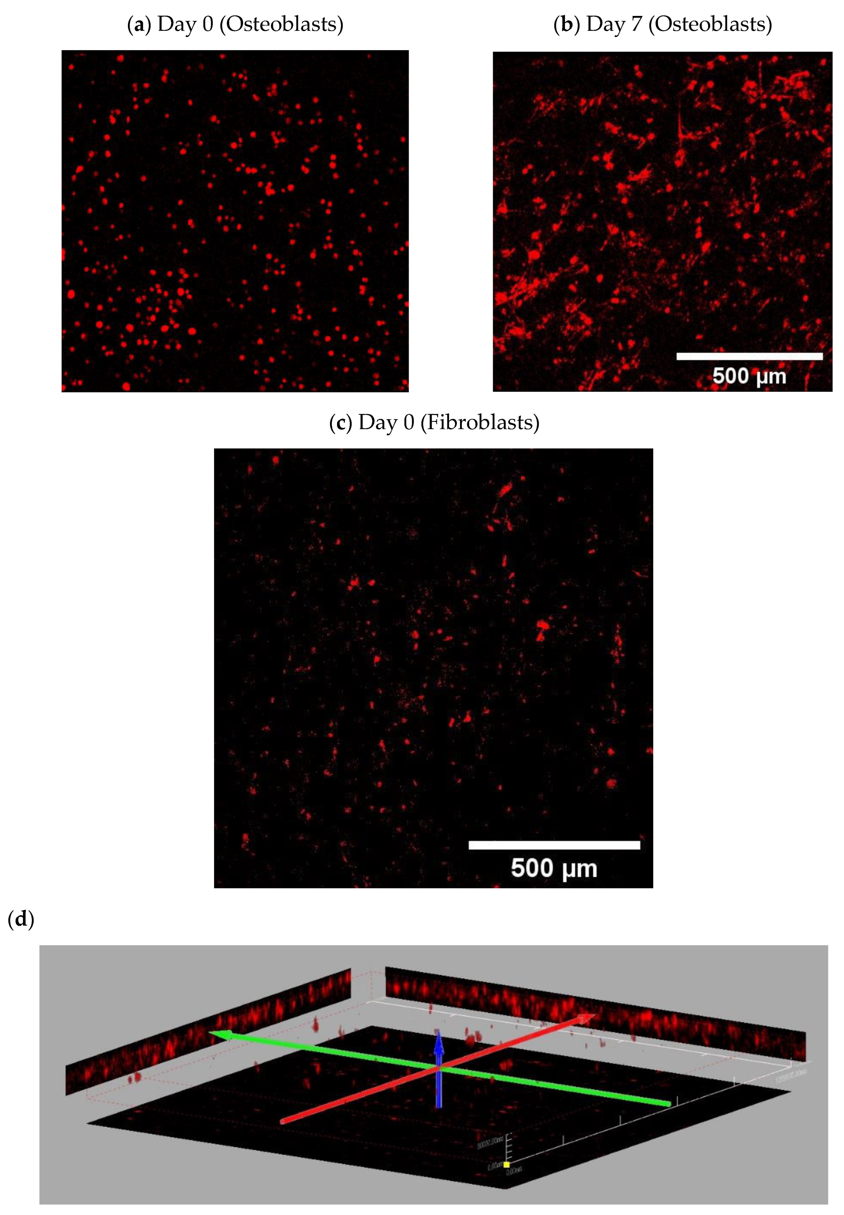 Ijms 24 00160 g0a2 Ijms 24 00160 g0a2