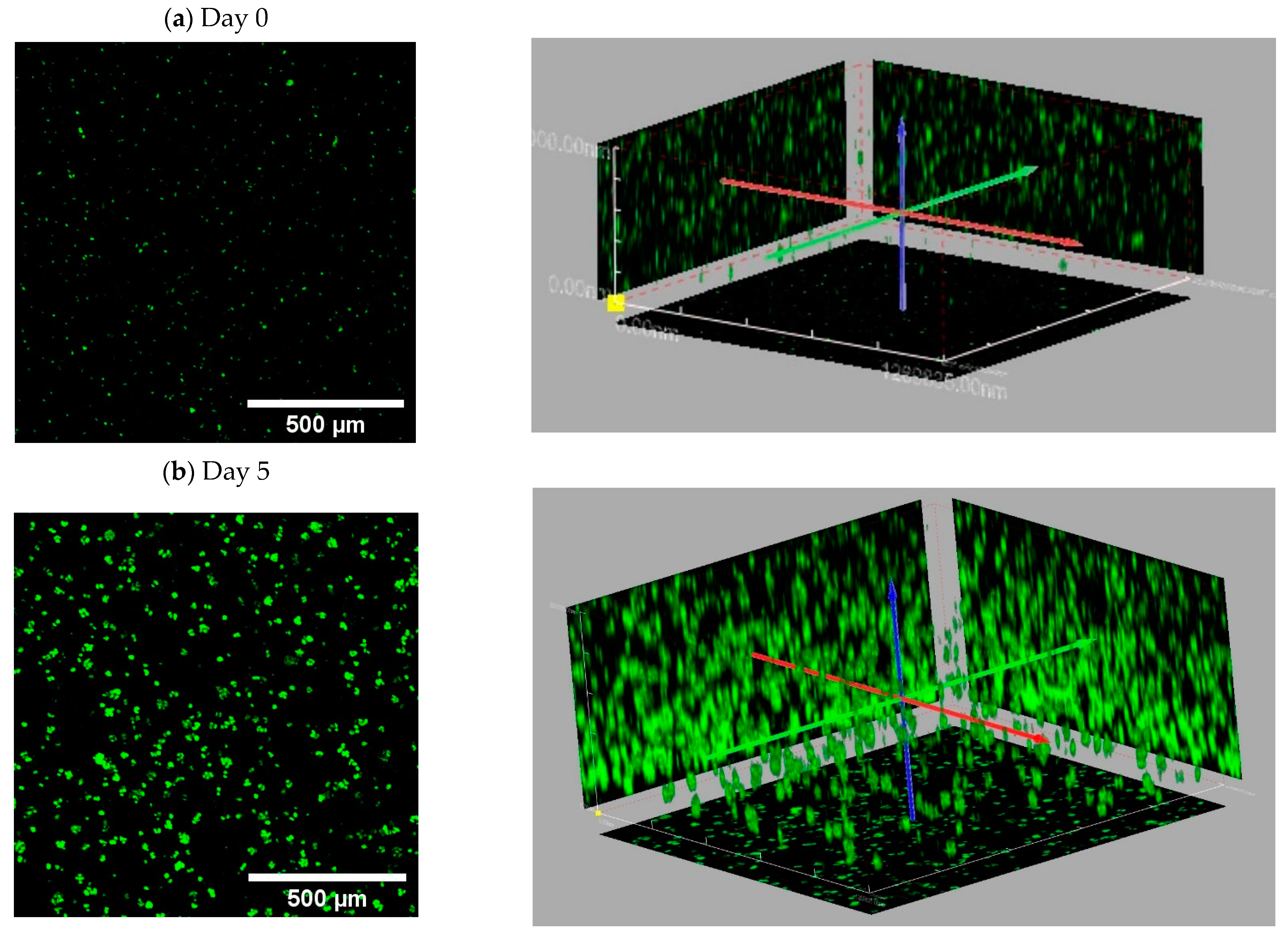 Ijms 24 00160 g0a4 Ijms 24 00160 g0a4