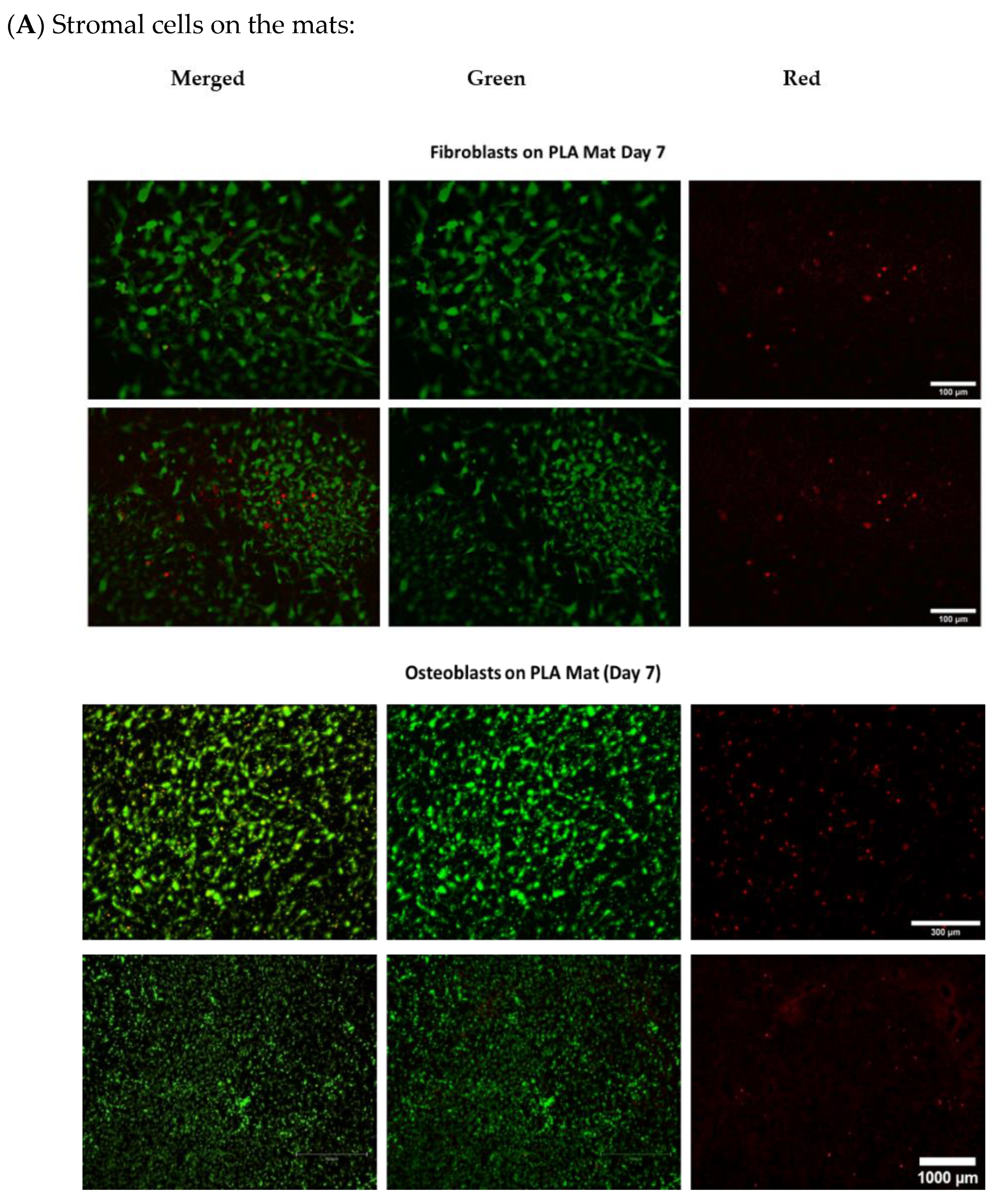Ijms 24 00160 g0a5a Ijms 24 00160 g0a5a