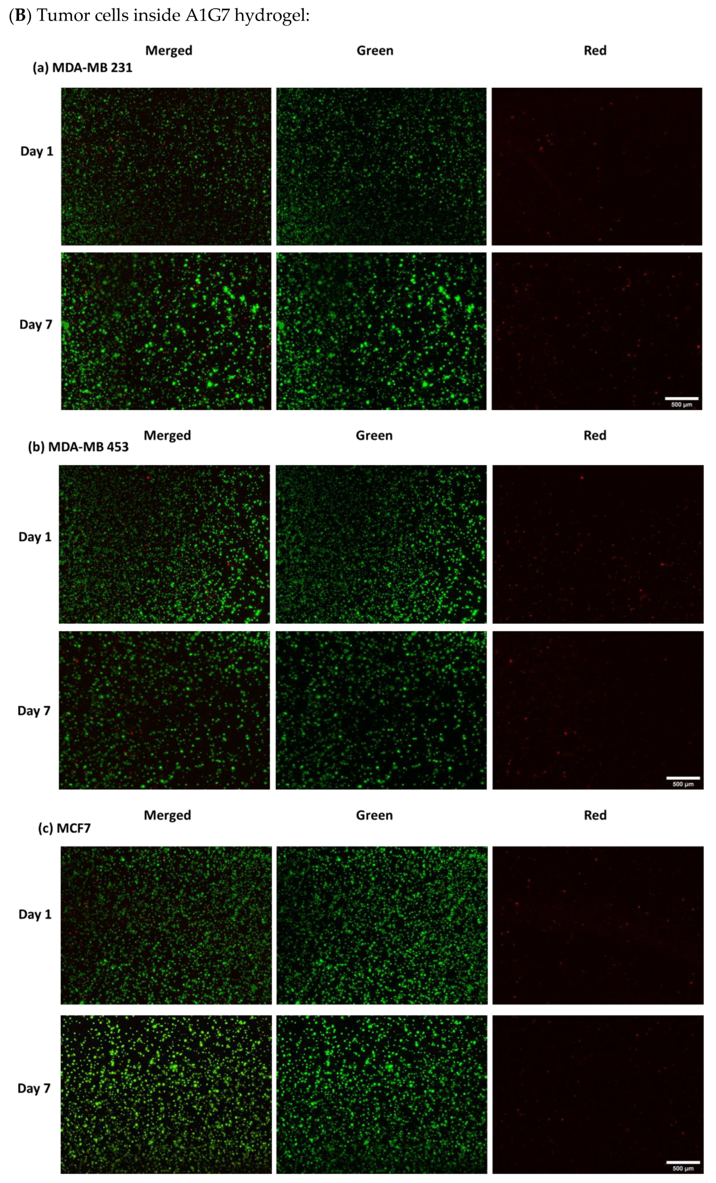 Ijms 24 00160 g0a5b Ijms 24 00160 g0a5b