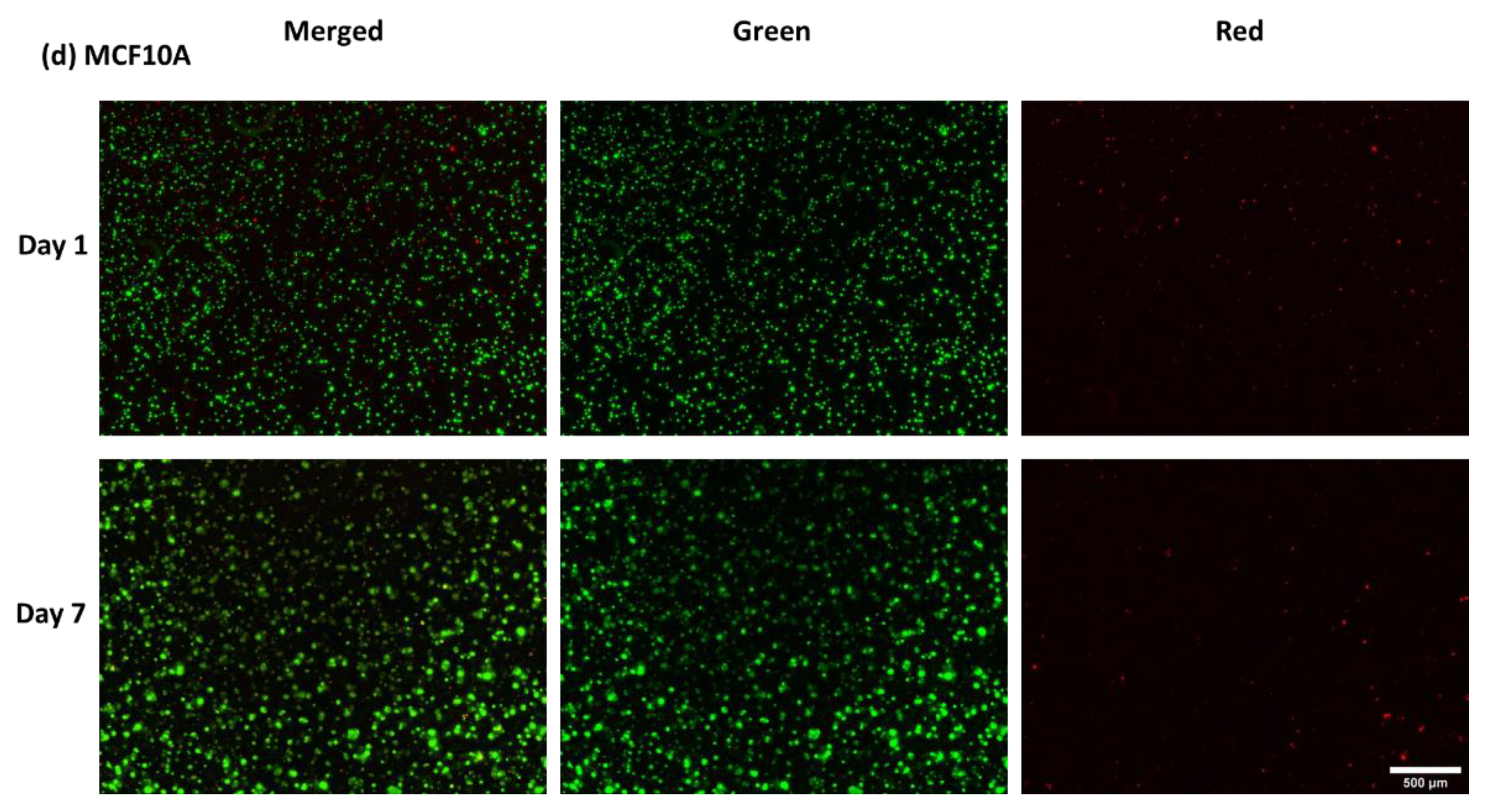 Ijms 24 00160 g0a5c Ijms 24 00160 g0a5c