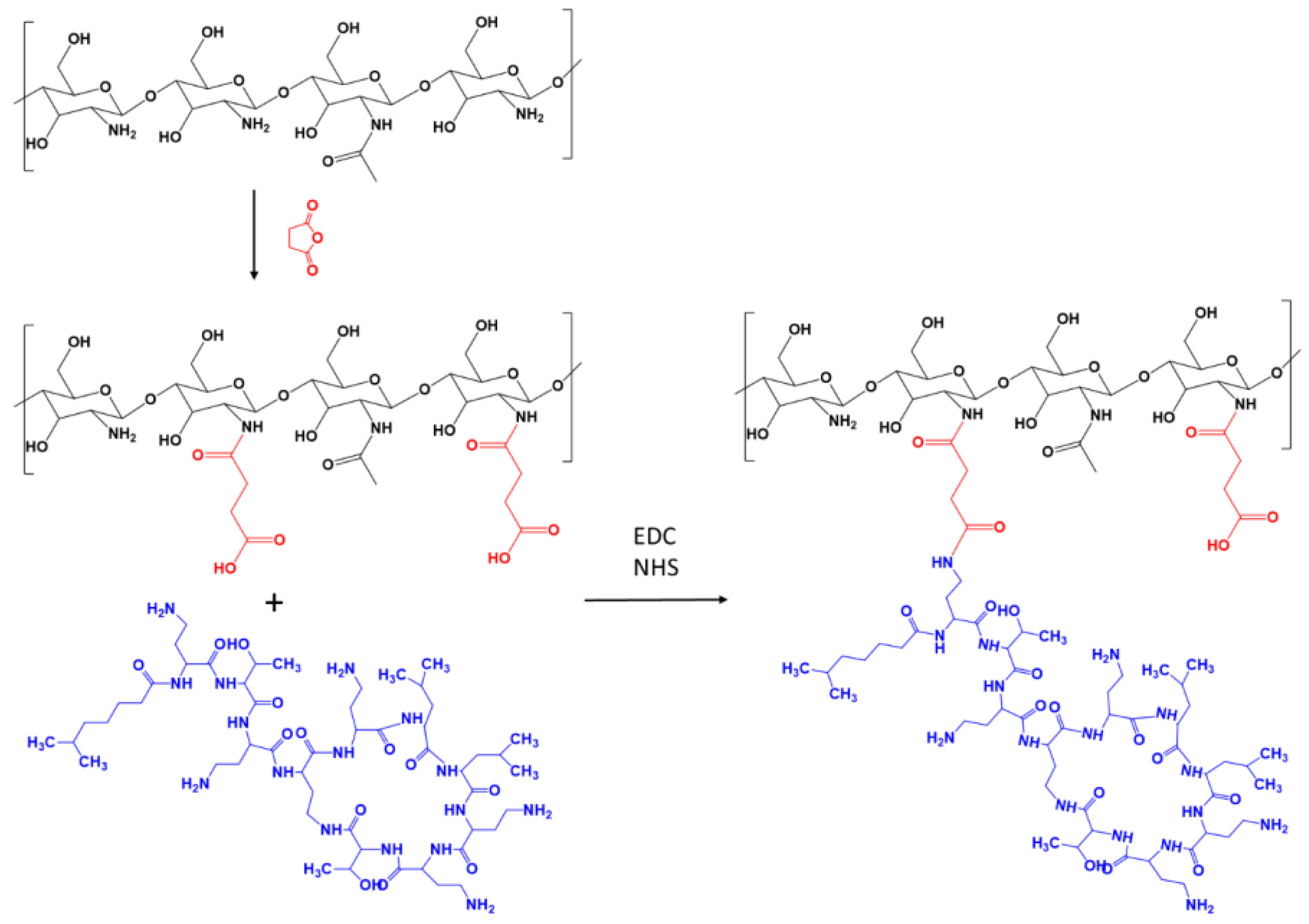 Ijms 24 00166 g001 Ijms 24 00166 g001