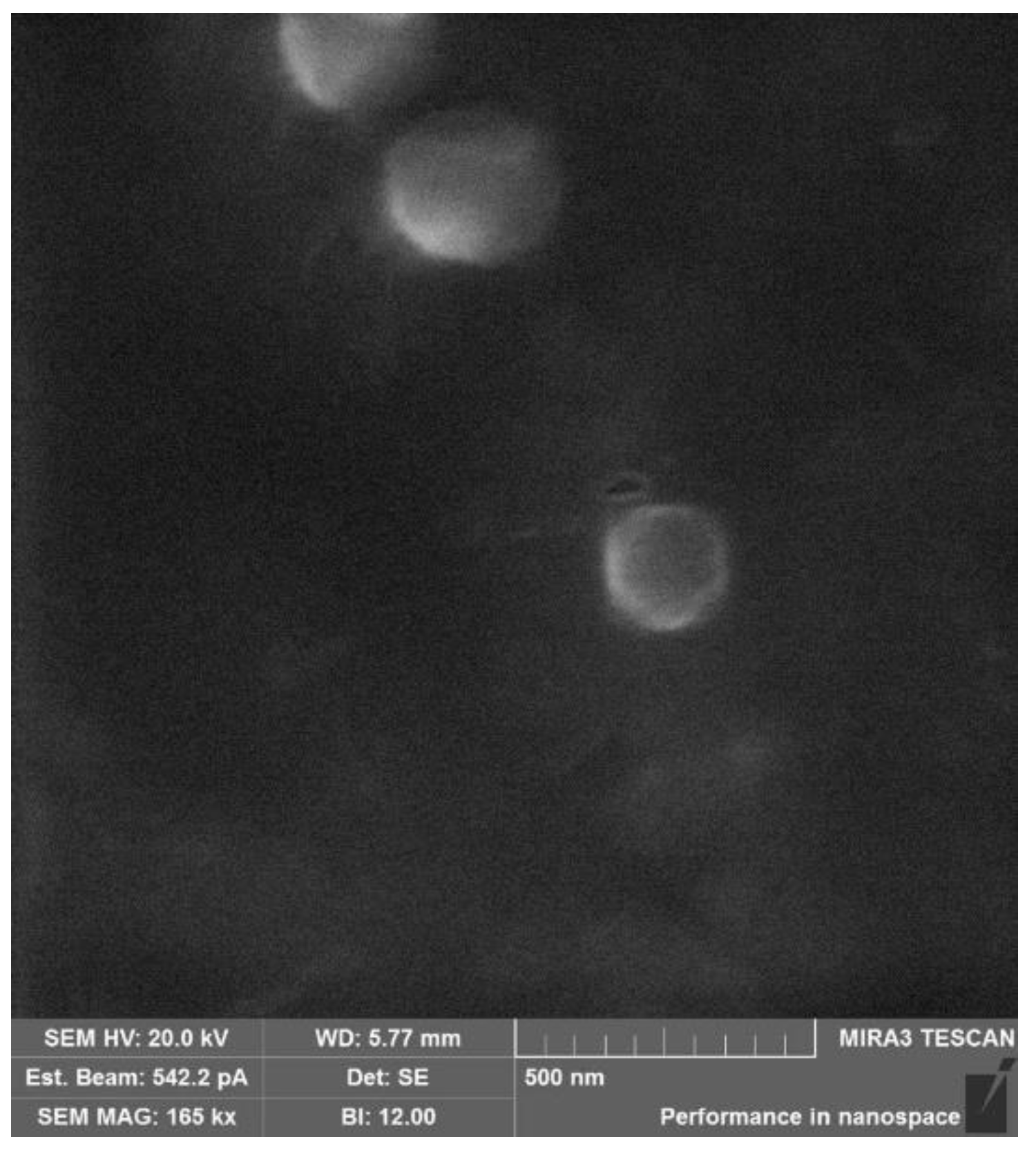 Ijms 24 00166 g004 Ijms 24 00166 g004