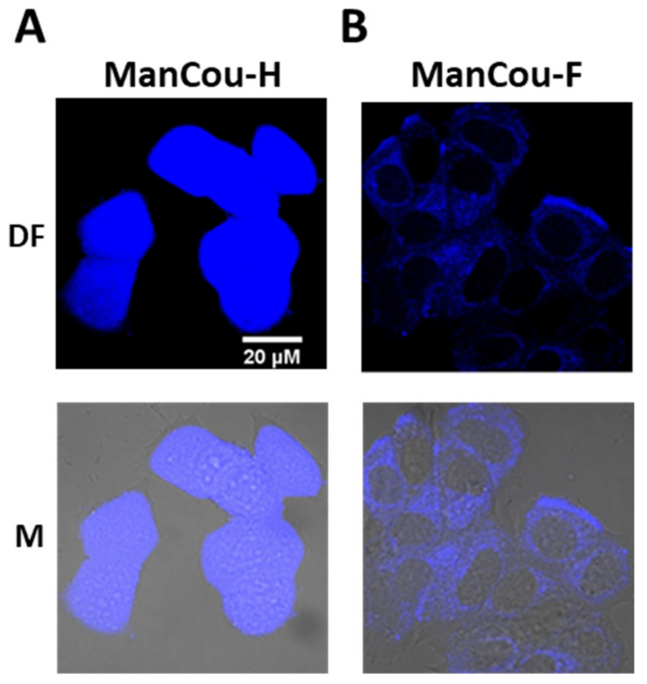 Ijms 24 00173 g002 Ijms 24 00173 g002