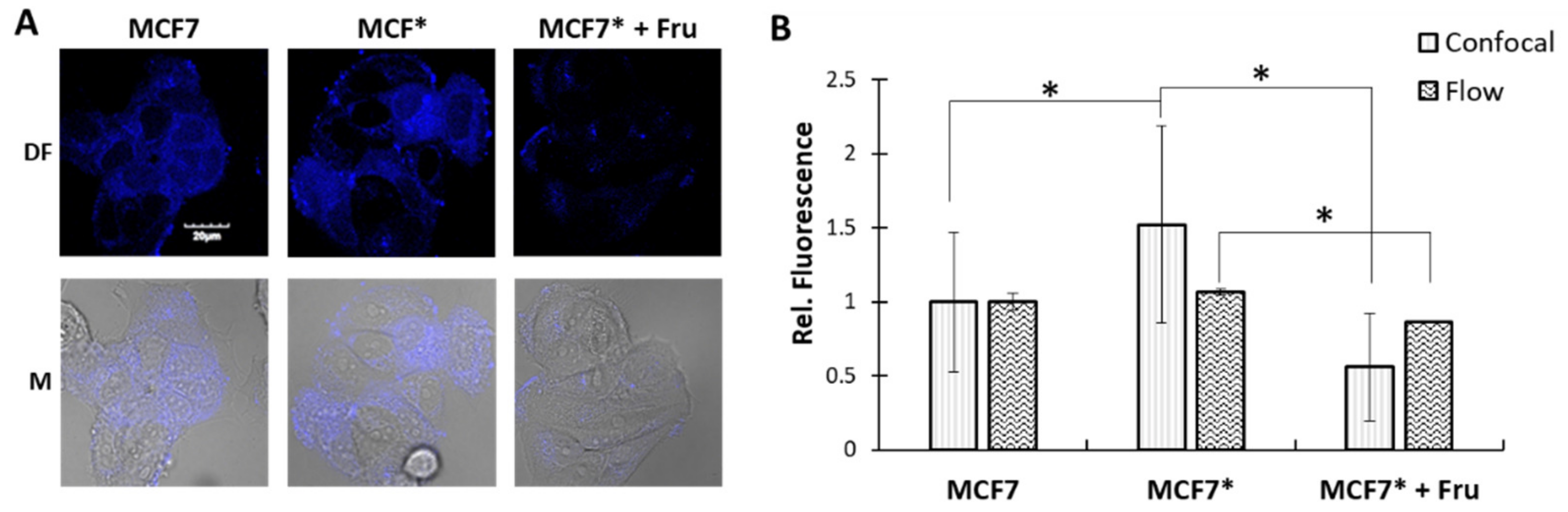 Ijms 24 00173 g006 Ijms 24 00173 g006