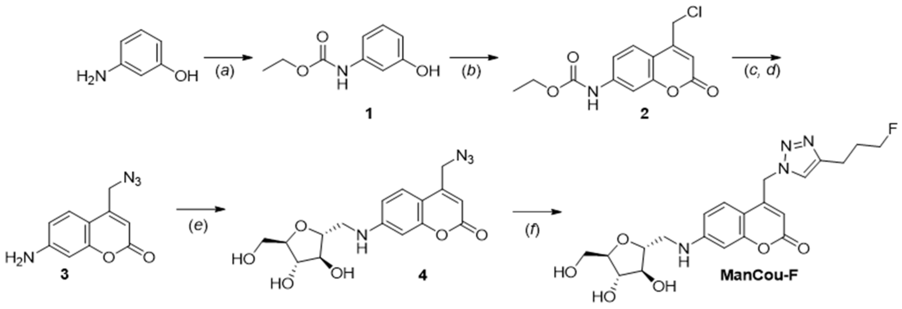 Ijms 24 00173 sch001 Ijms 24 00173 sch001