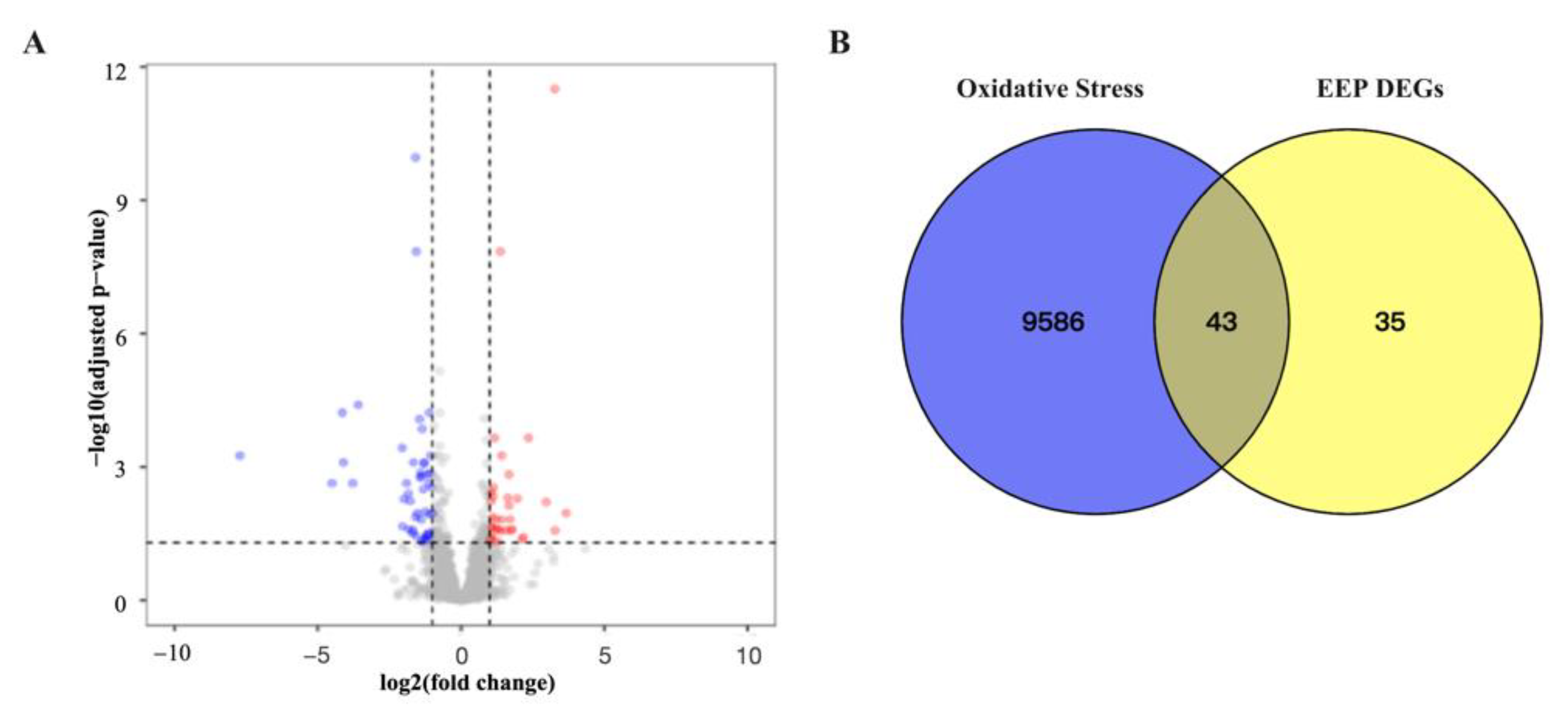 Ijms 24 00187 g005 Ijms 24 00187 g005