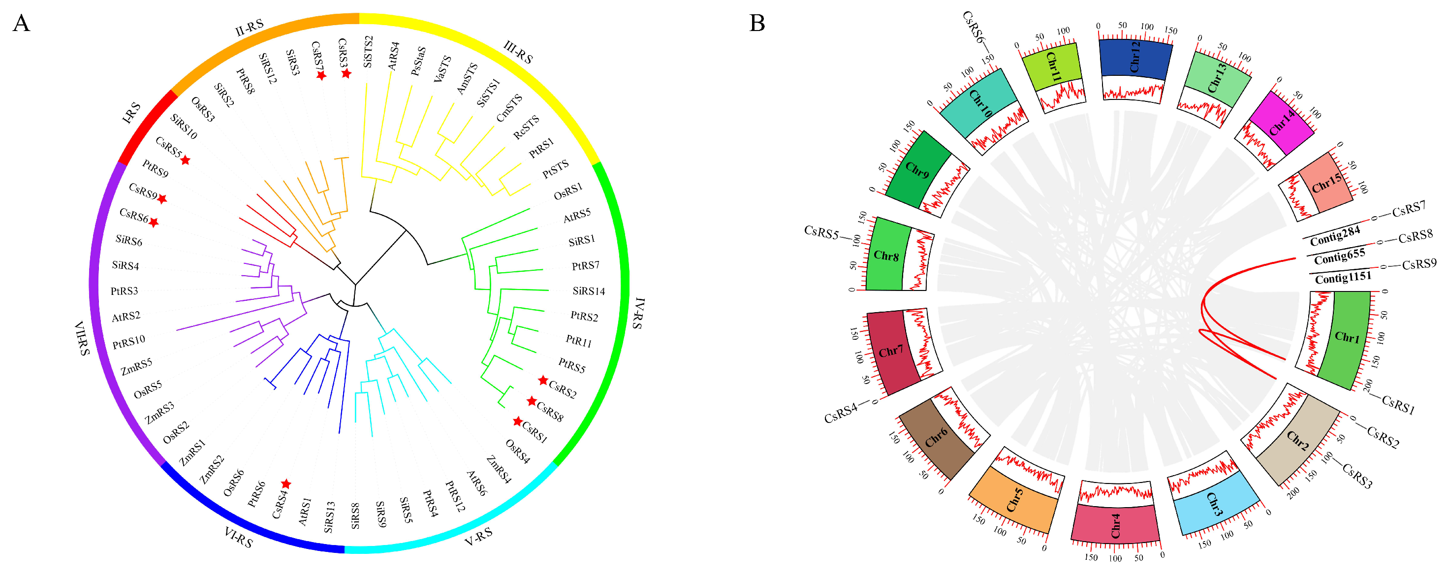 Ijms 24 00202 g001 Ijms 24 00202 g001