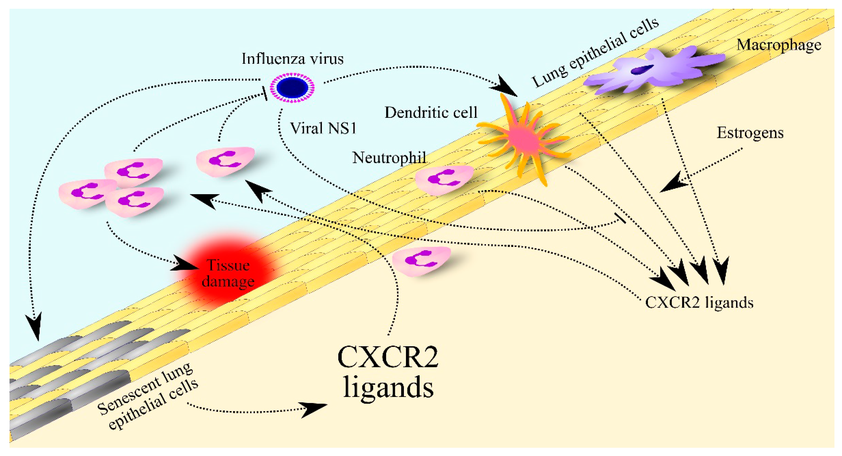 Ijms 24 00205 g003 Ijms 24 00205 g003