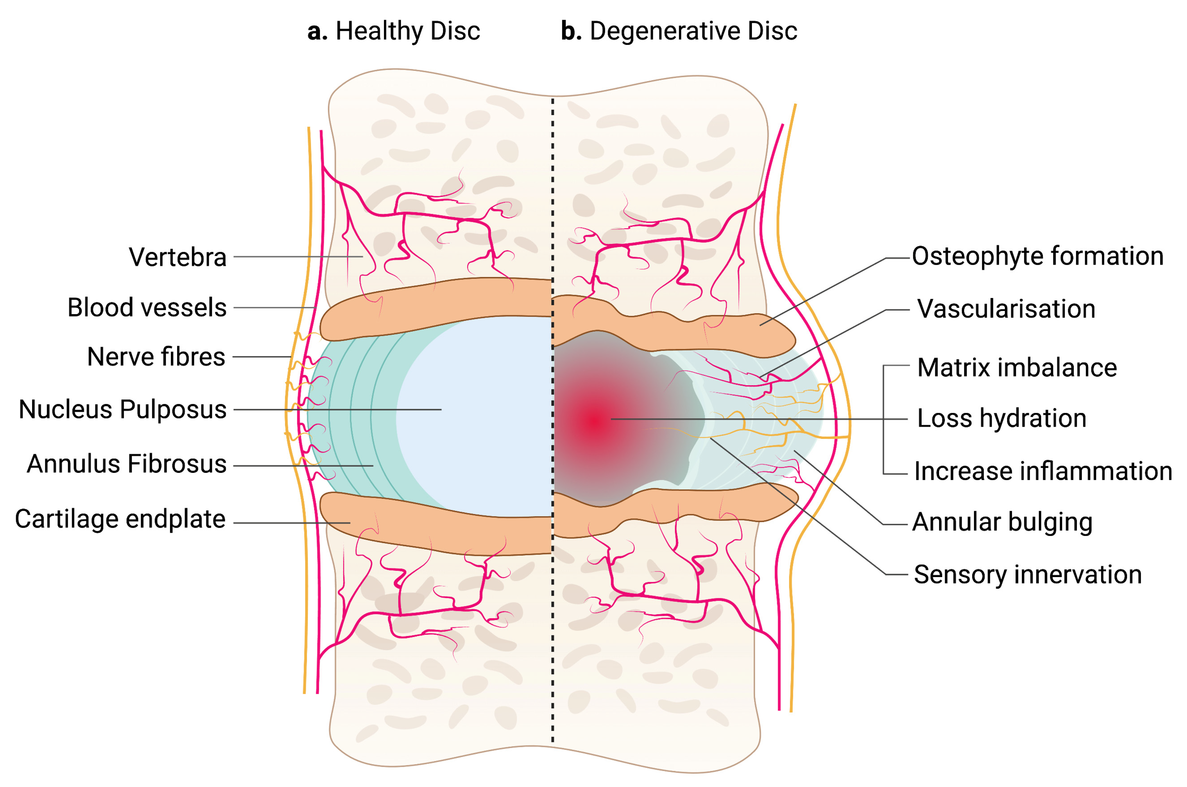 Ijms 24 00208 g001 Ijms 24 00208 g001