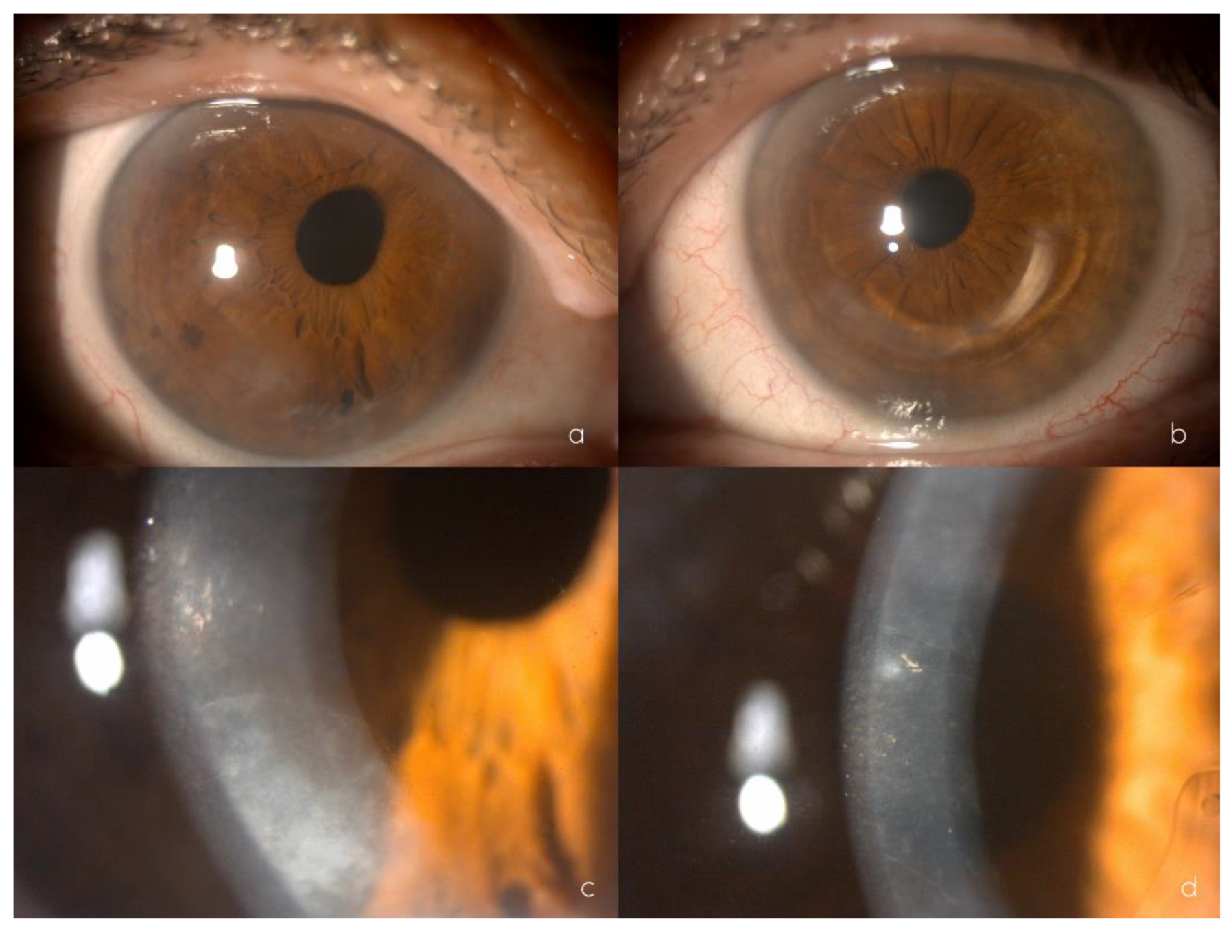 Ijms 24 00209 g001 Ijms 24 00209 g001