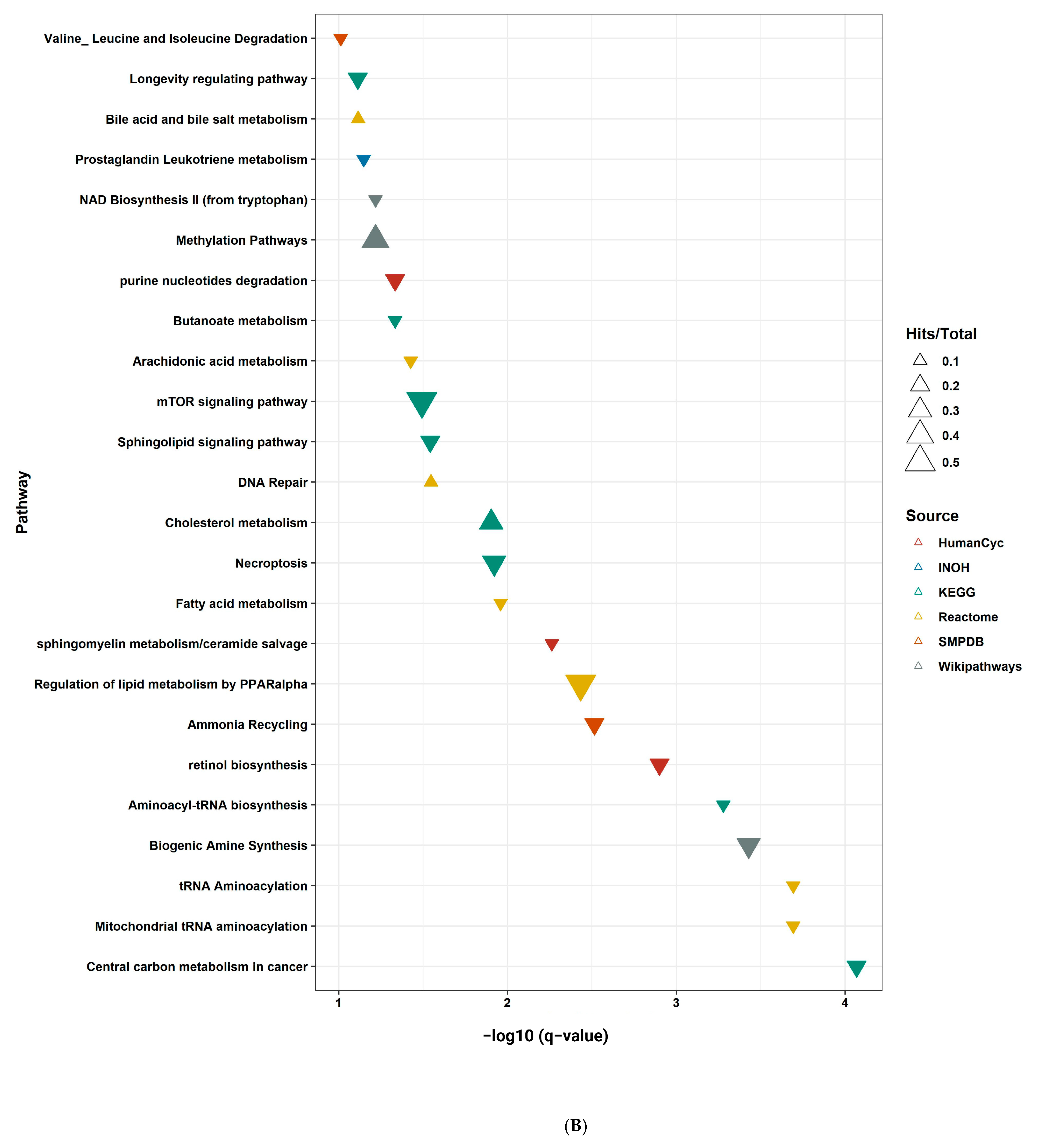 Ijms 24 00210 g007b Ijms 24 00210 g007b