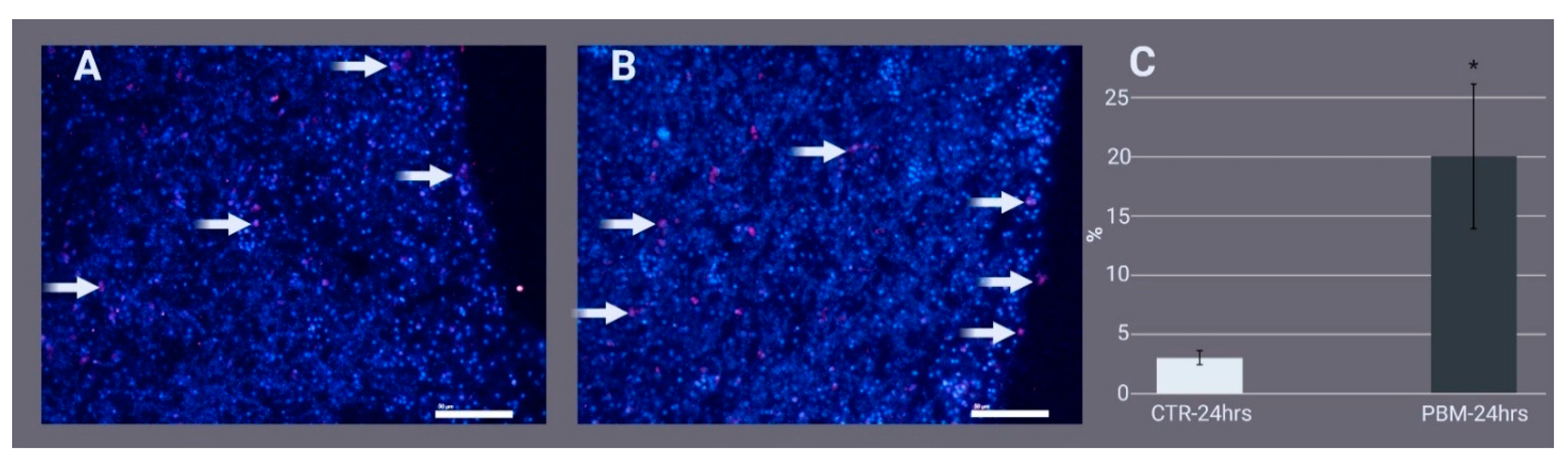 Ijms 24 00226 g003 Ijms 24 00226 g003