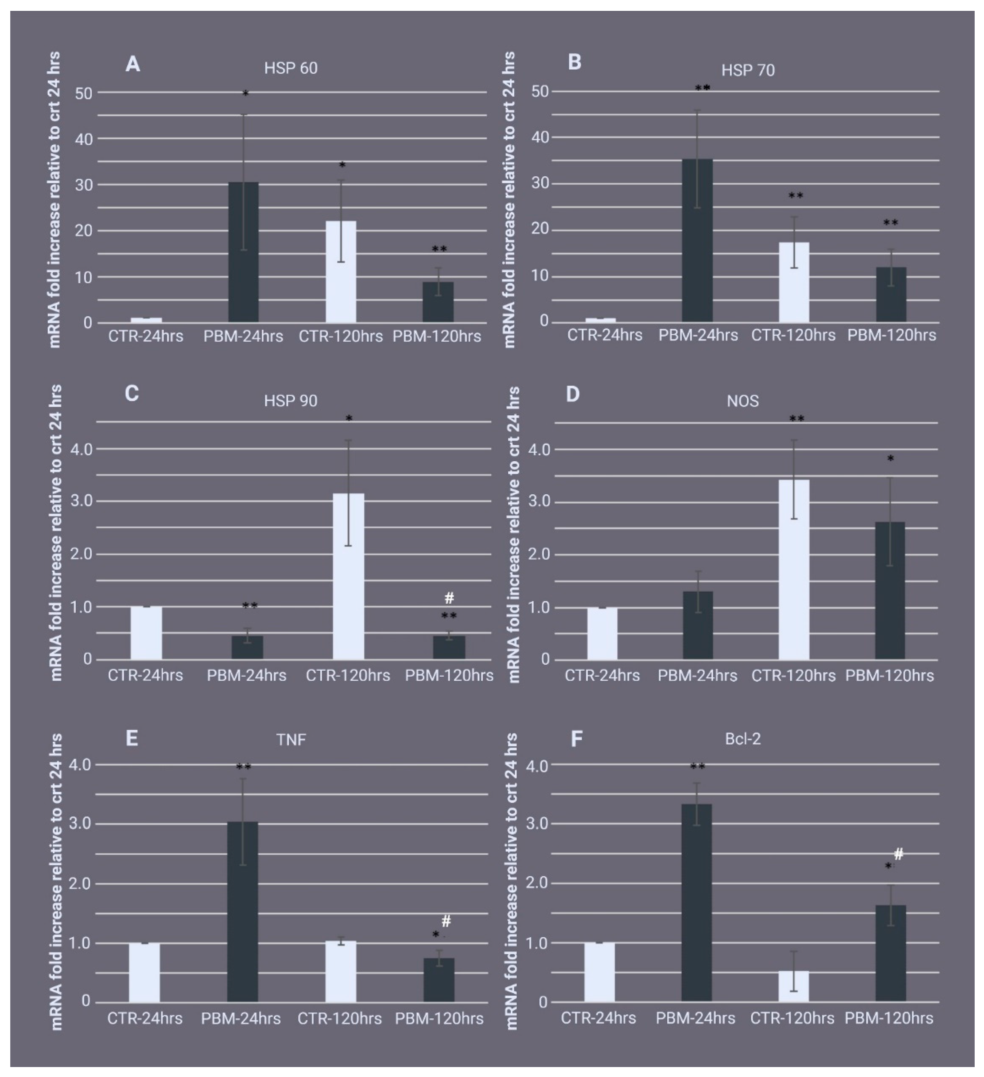 Ijms 24 00226 g004 Ijms 24 00226 g004