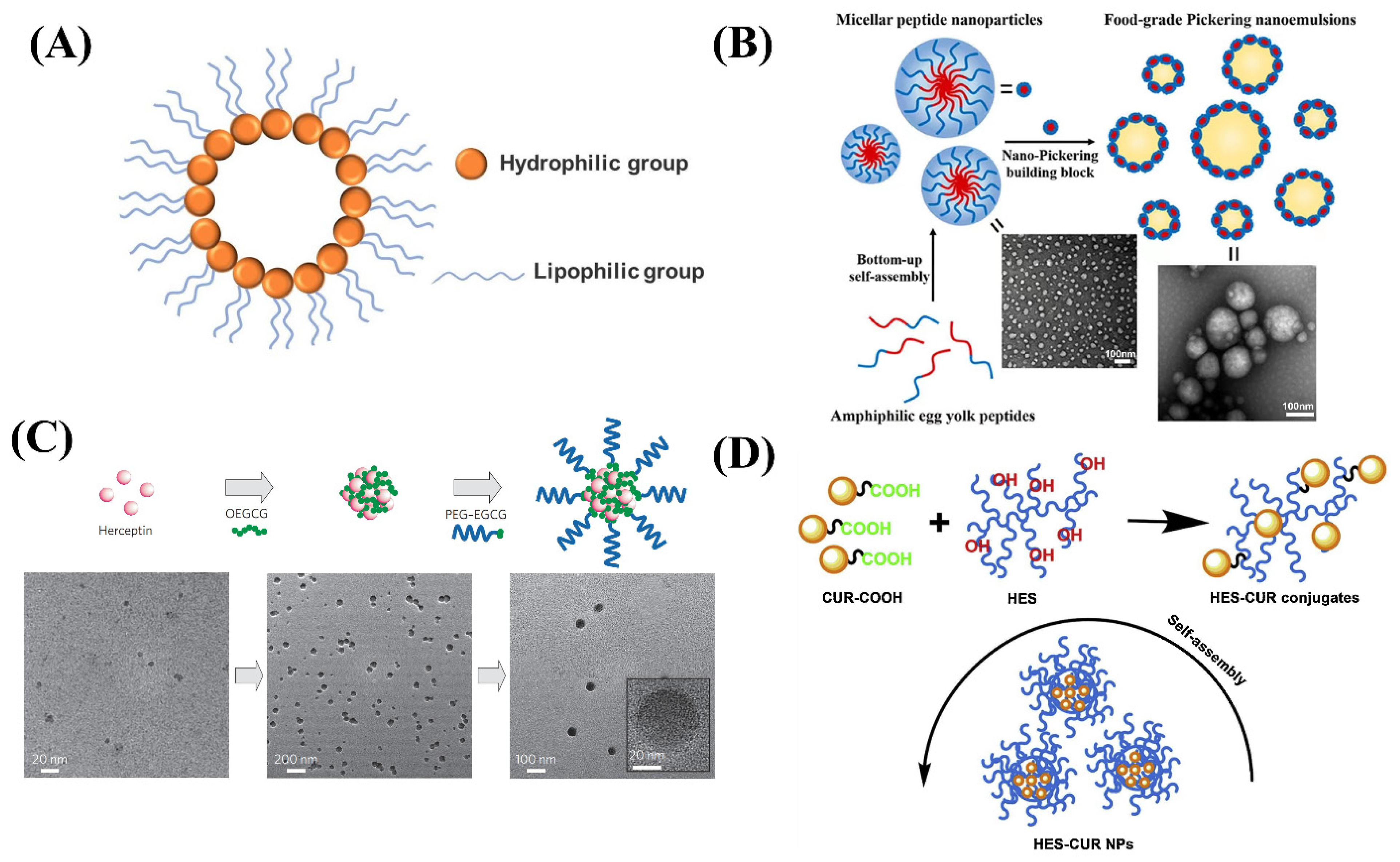 Ijms 24 00234 g001 Ijms 24 00234 g001