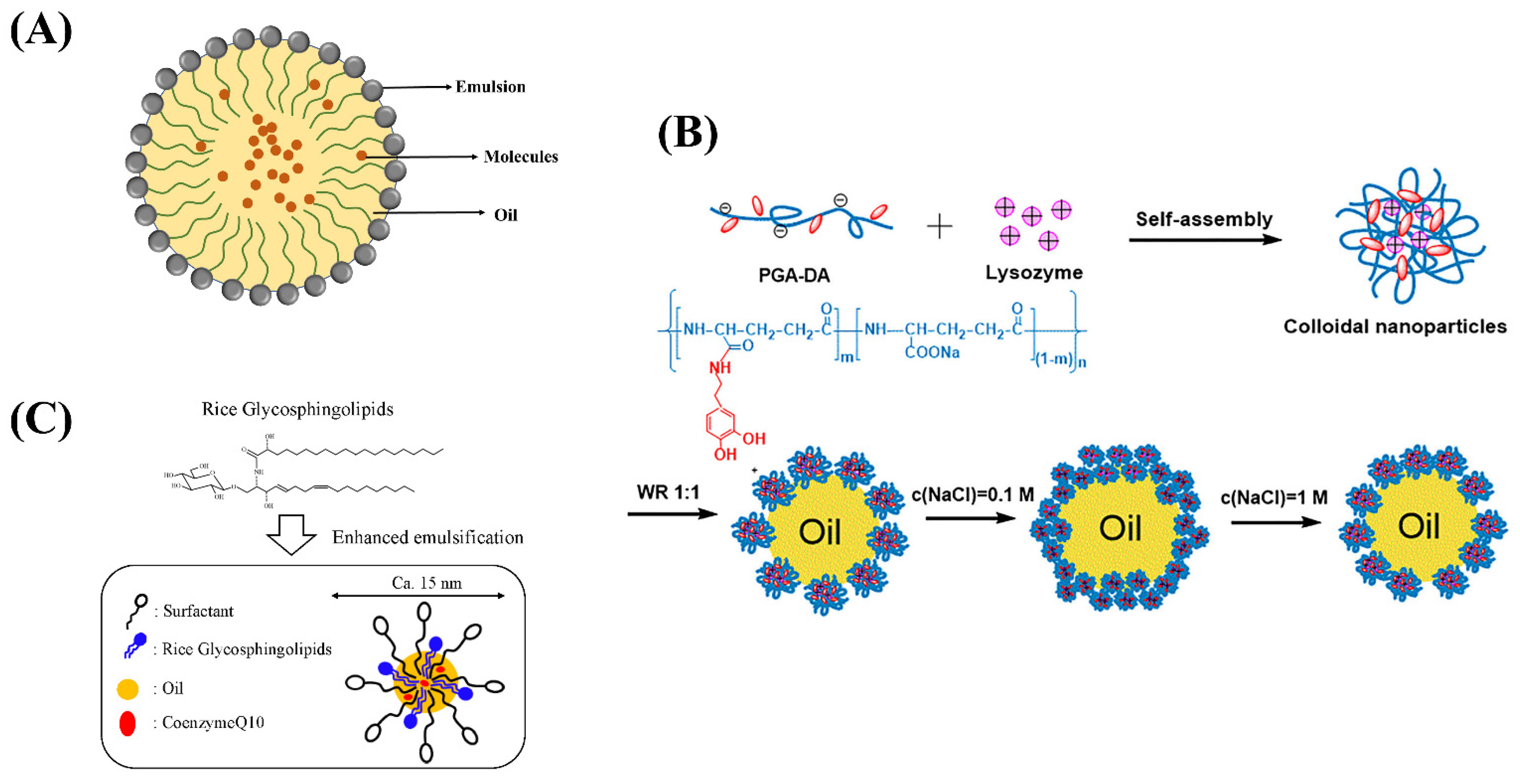 Ijms 24 00234 g003 Ijms 24 00234 g003