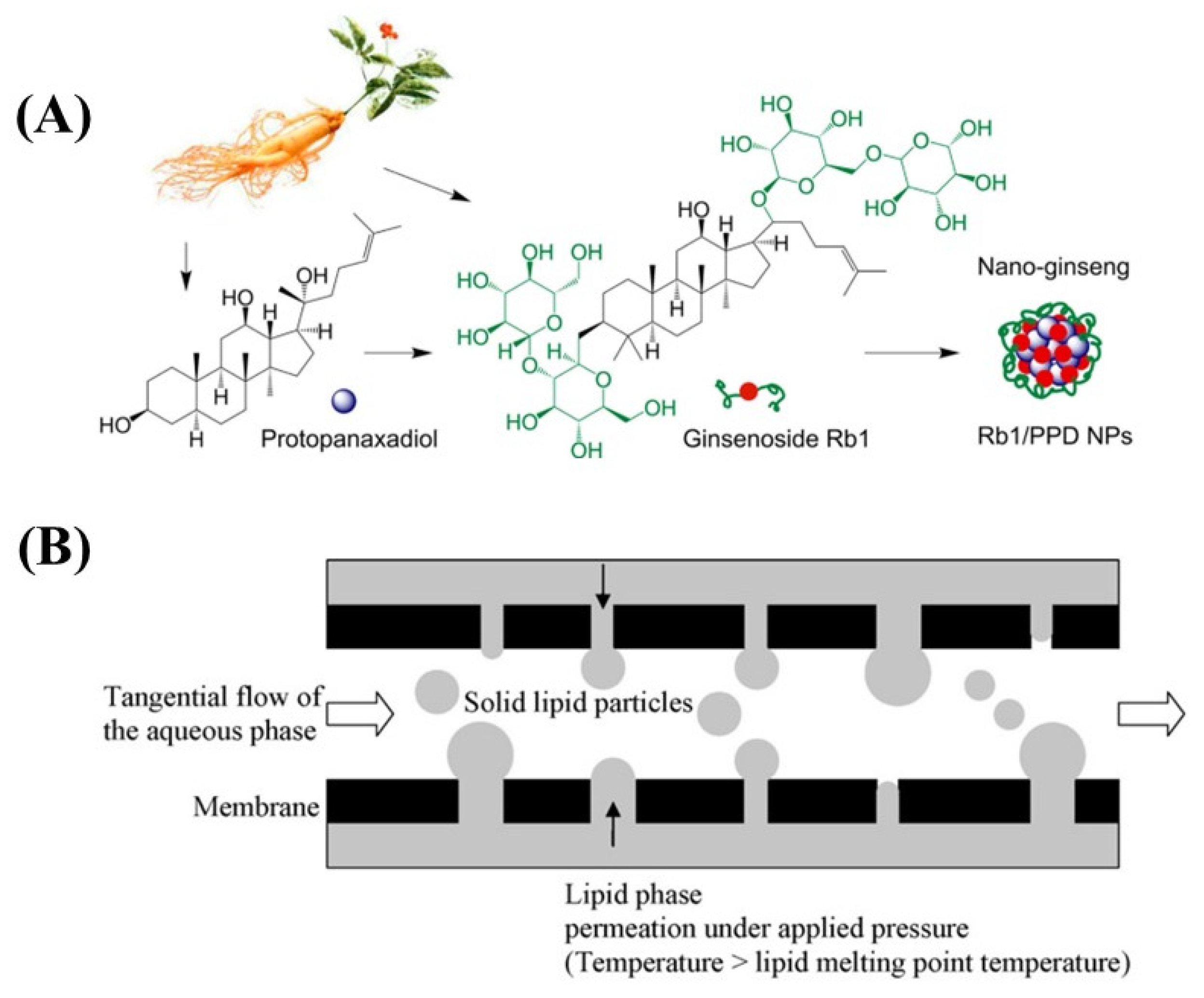 Ijms 24 00234 g006 Ijms 24 00234 g006