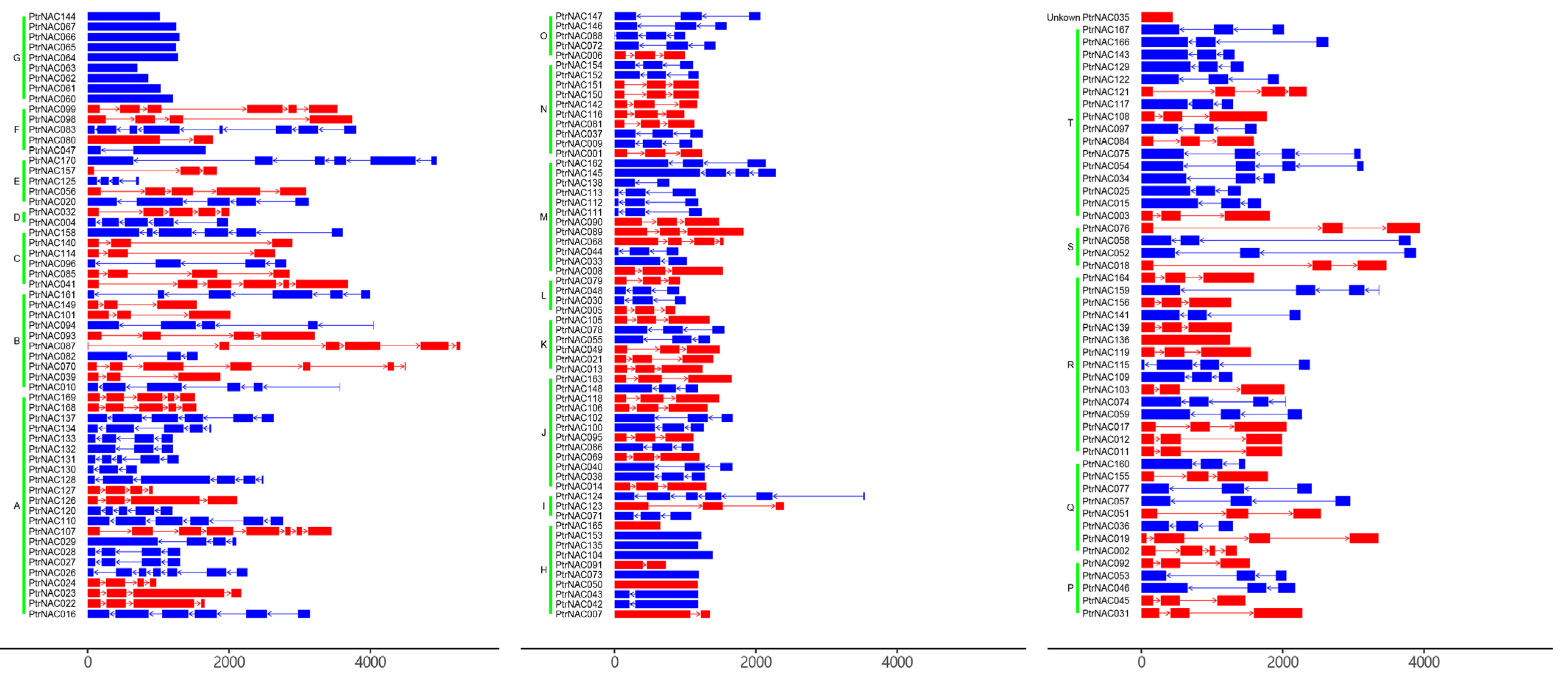 Ijms 24 00253 g004 Ijms 24 00253 g004