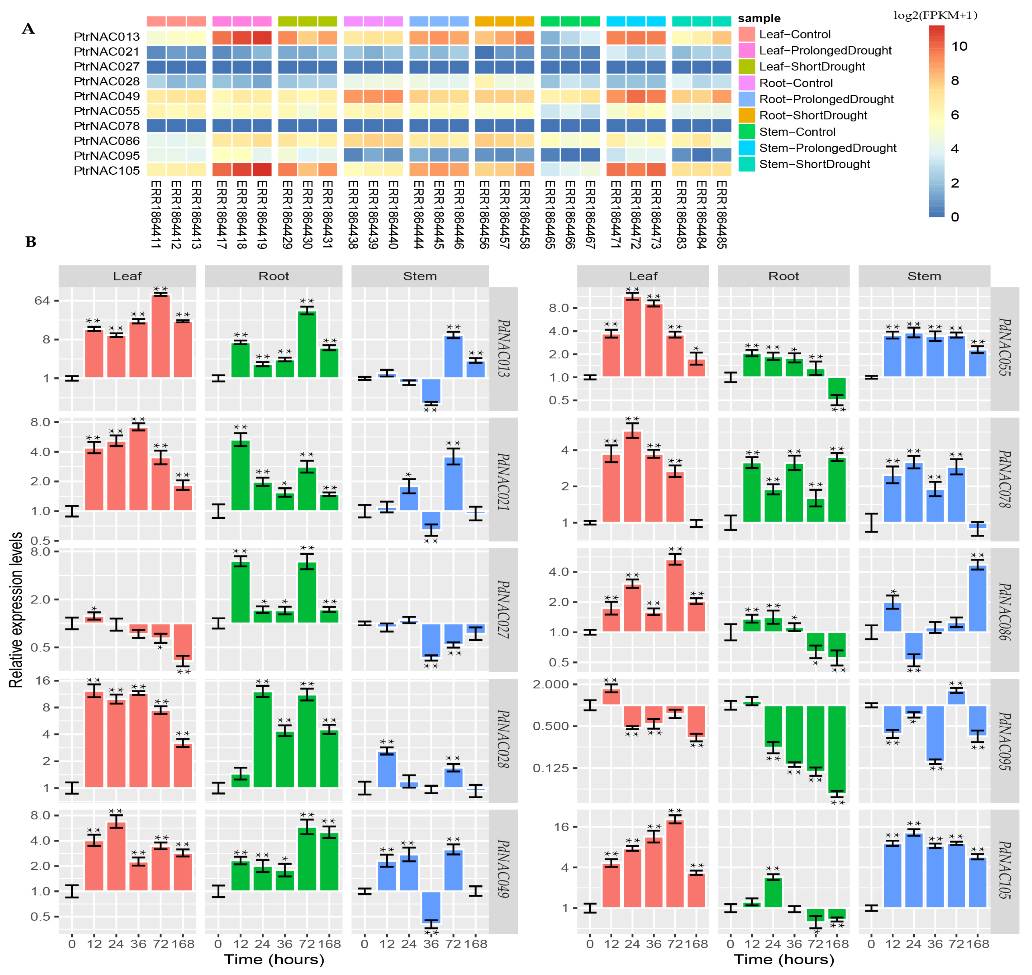 Ijms 24 00253 g006 Ijms 24 00253 g006
