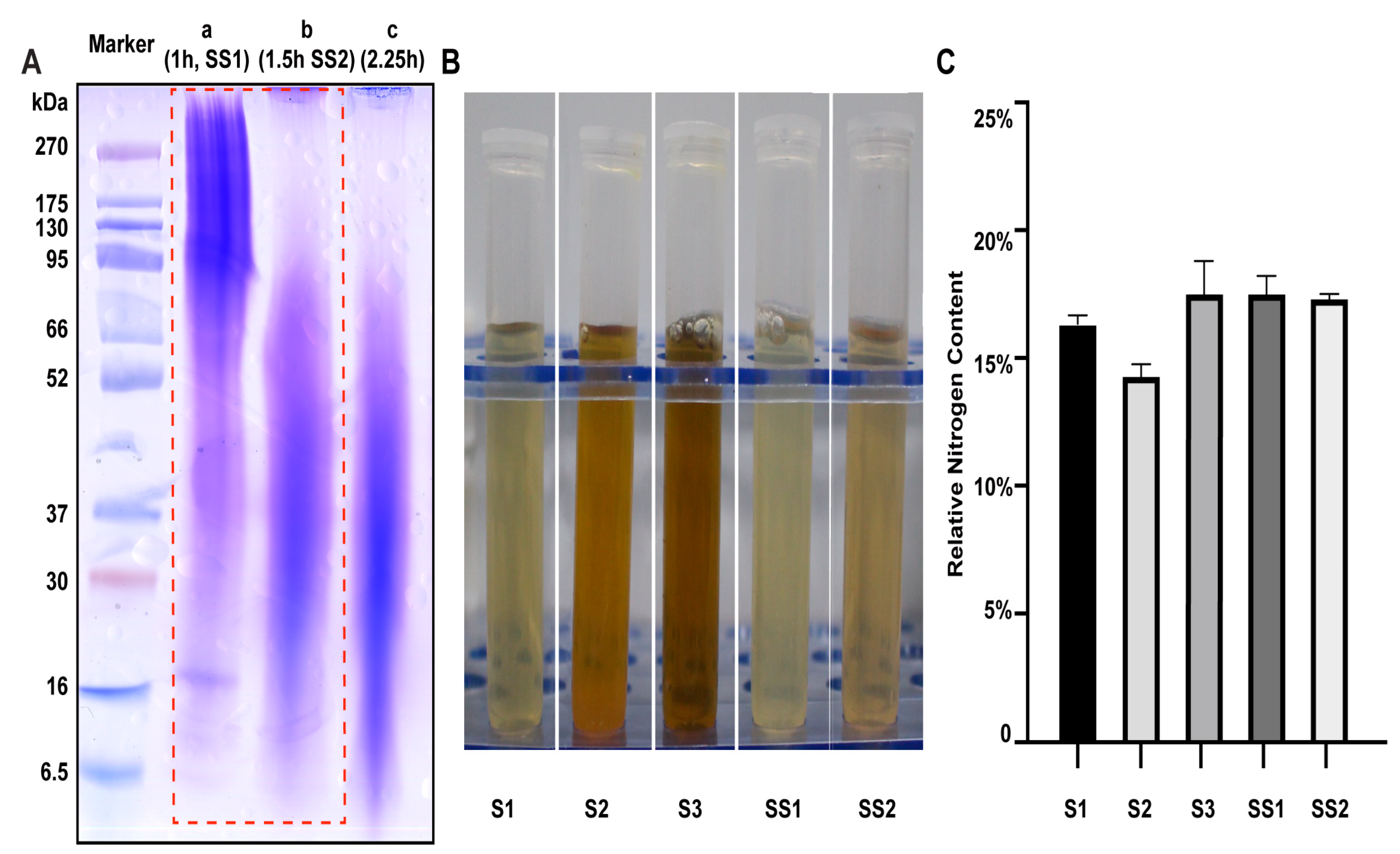 Ijms 24 00259 g001 Ijms 24 00259 g001