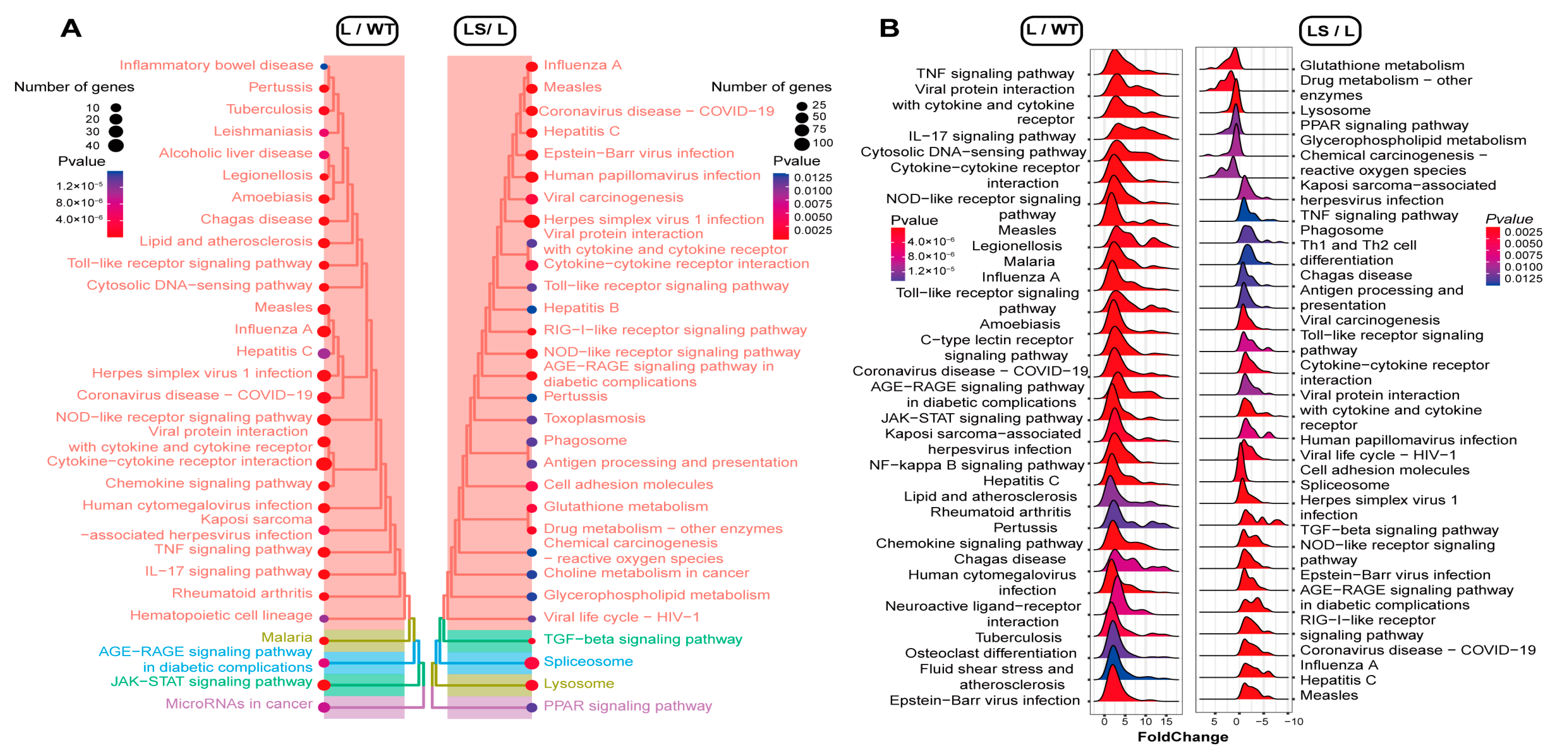 Ijms 24 00259 g005 Ijms 24 00259 g005