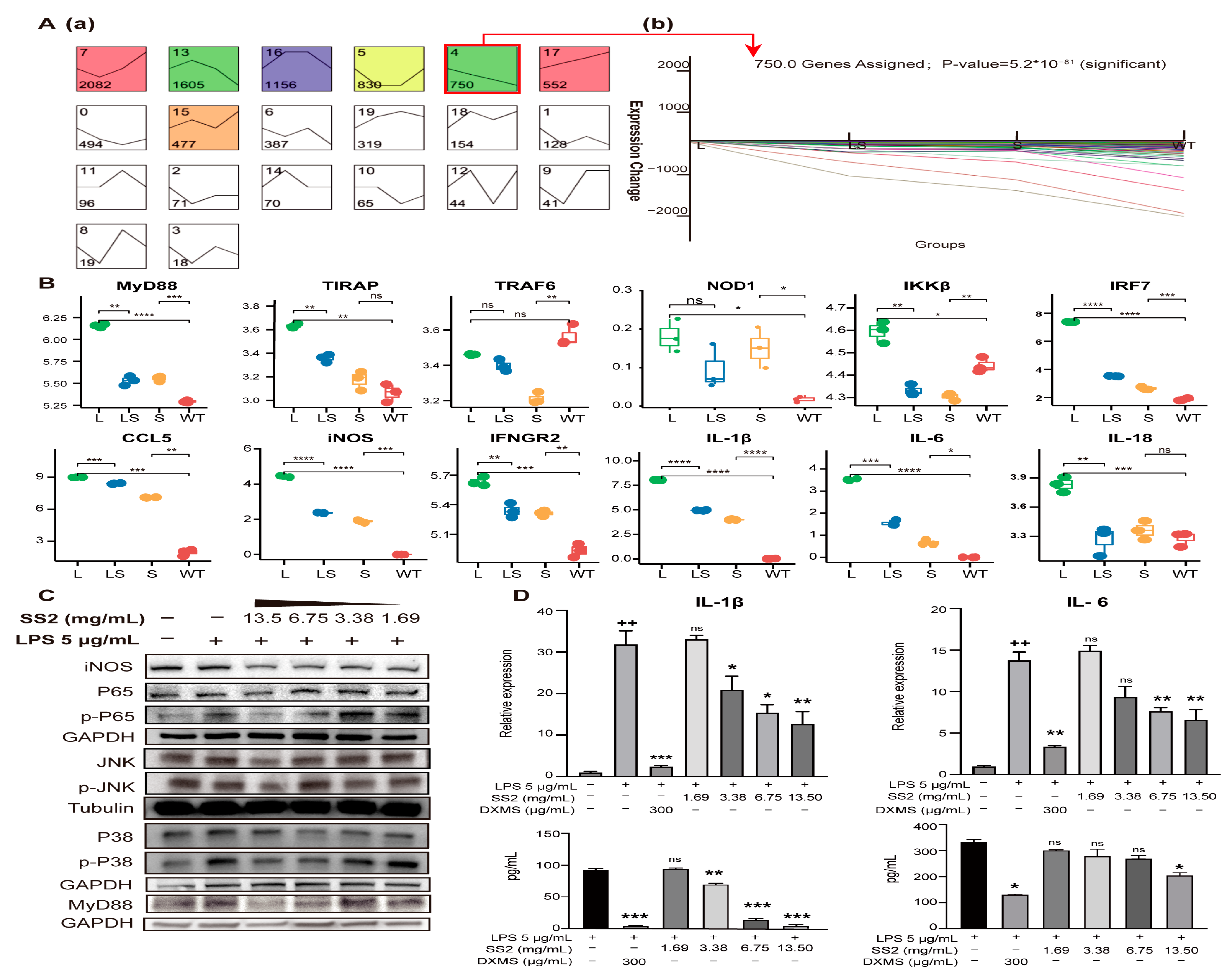 Ijms 24 00259 g007 Ijms 24 00259 g007